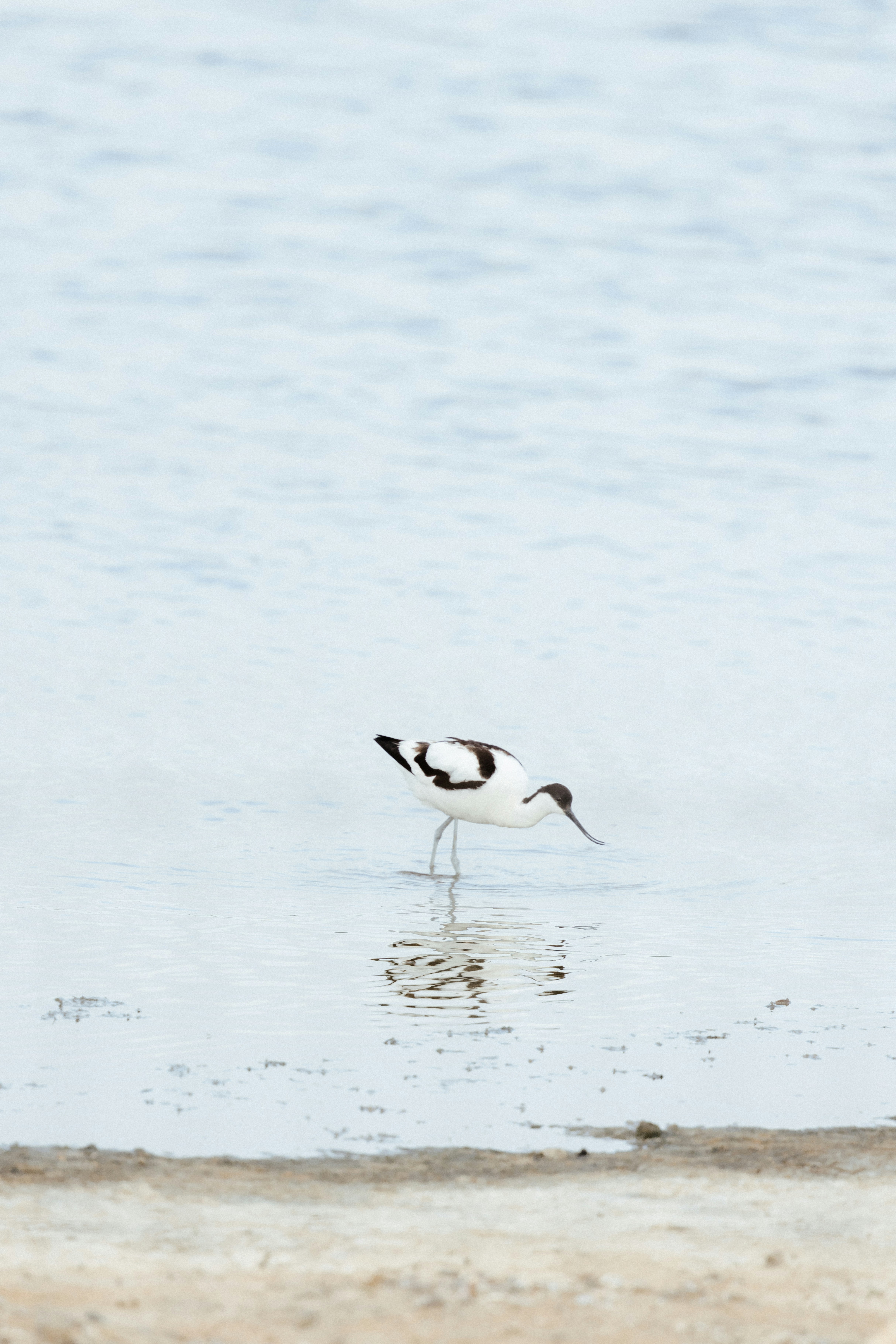 Photo by anniespratt