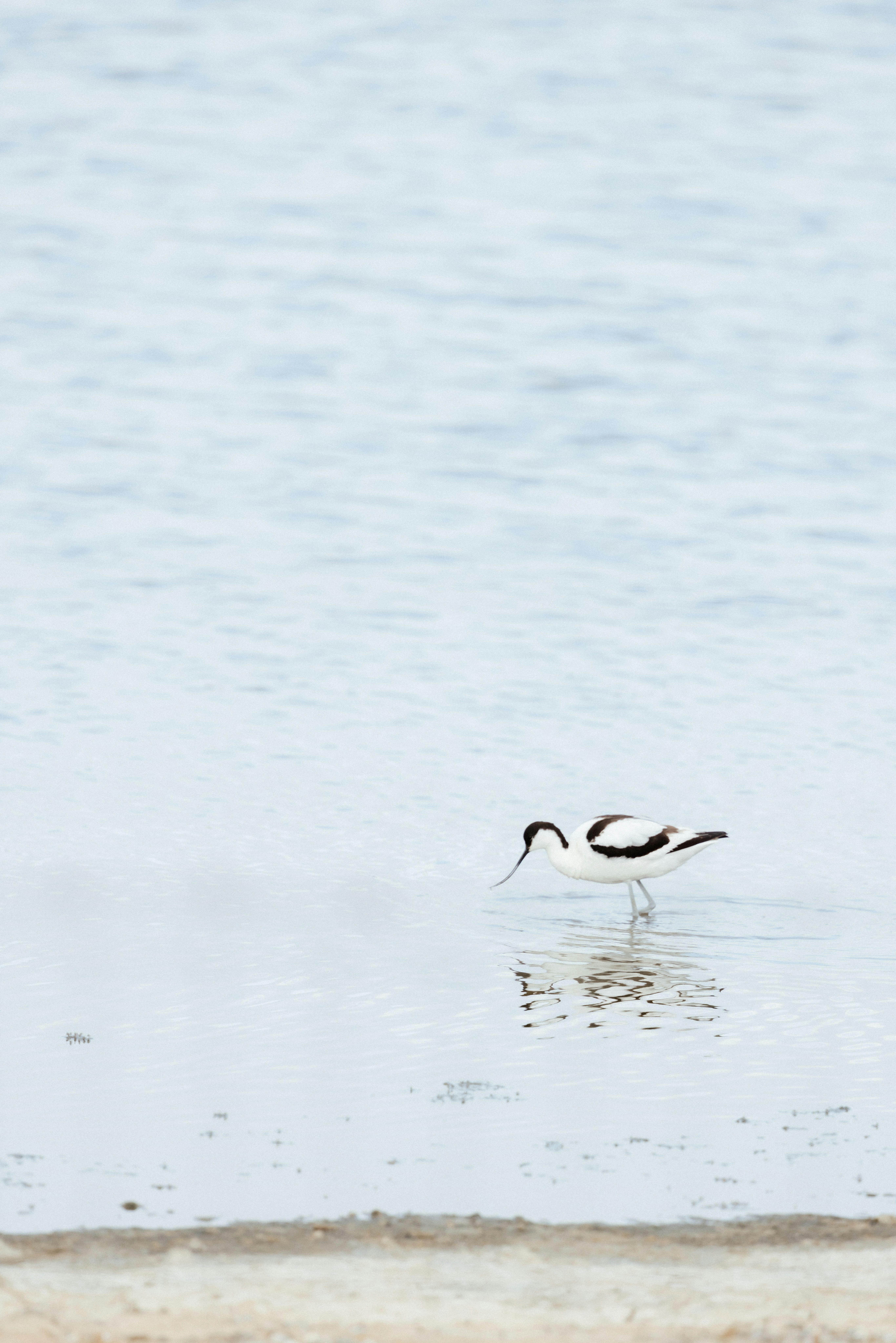 Photo by anniespratt