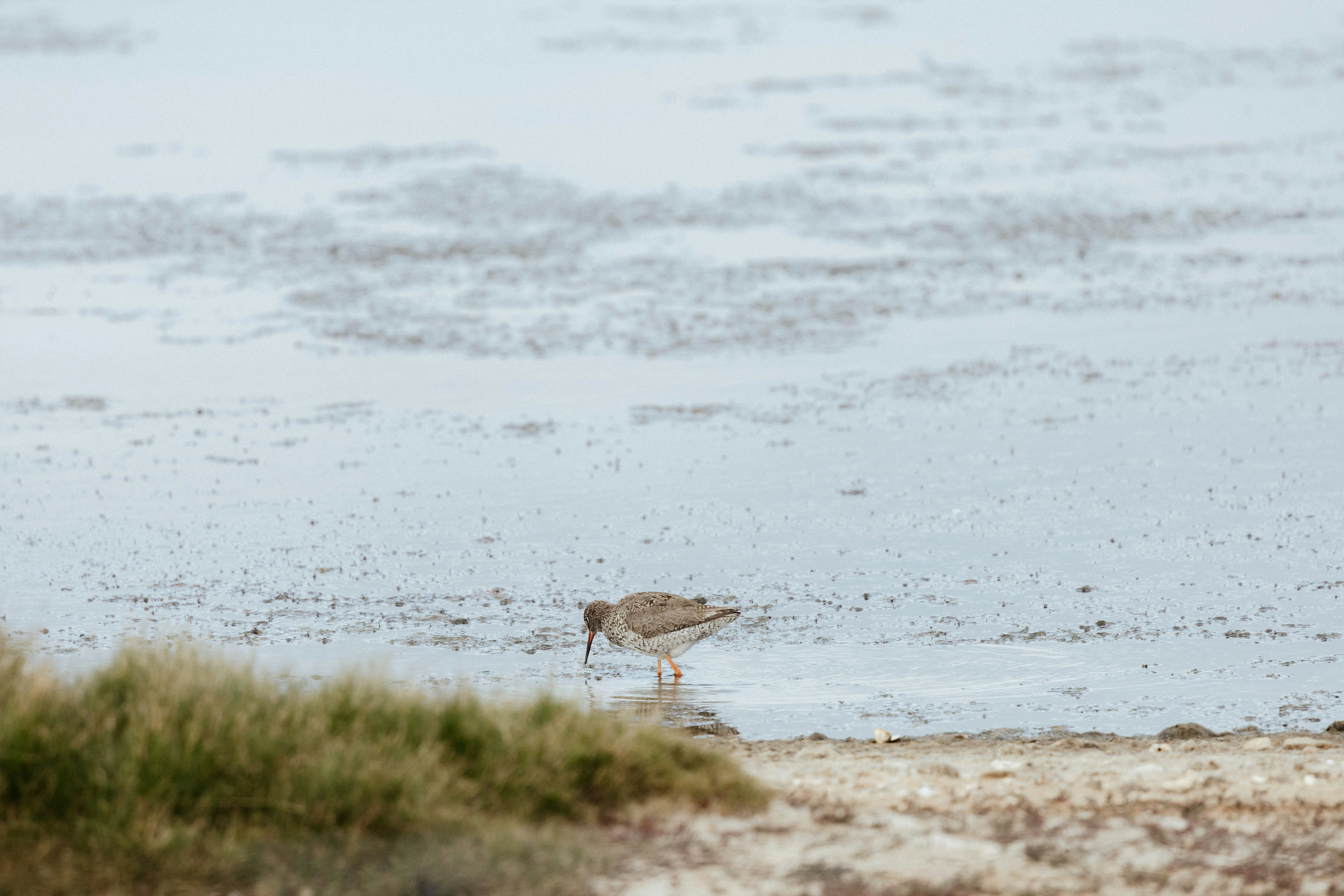 Photo by anniespratt