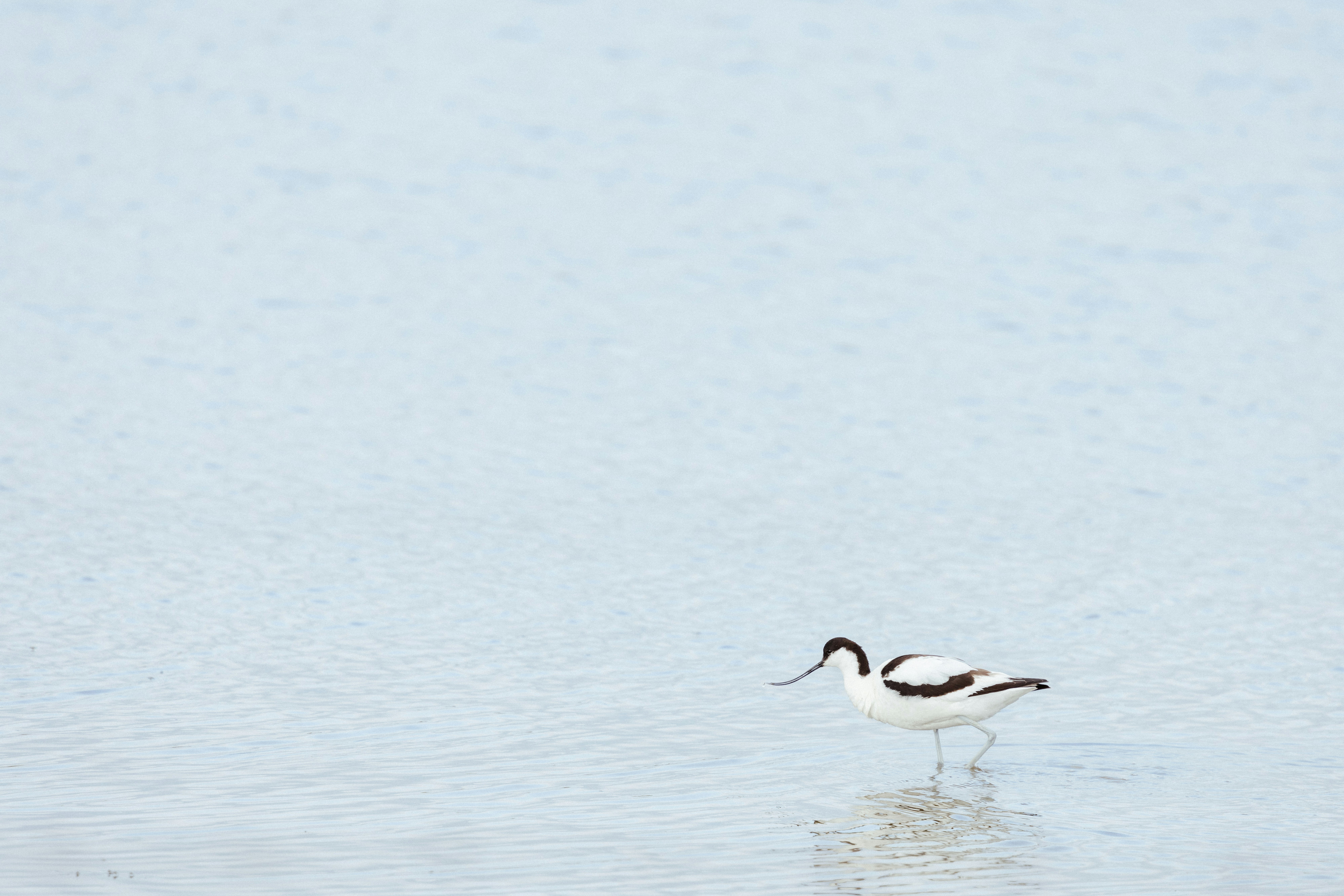 Photo by anniespratt