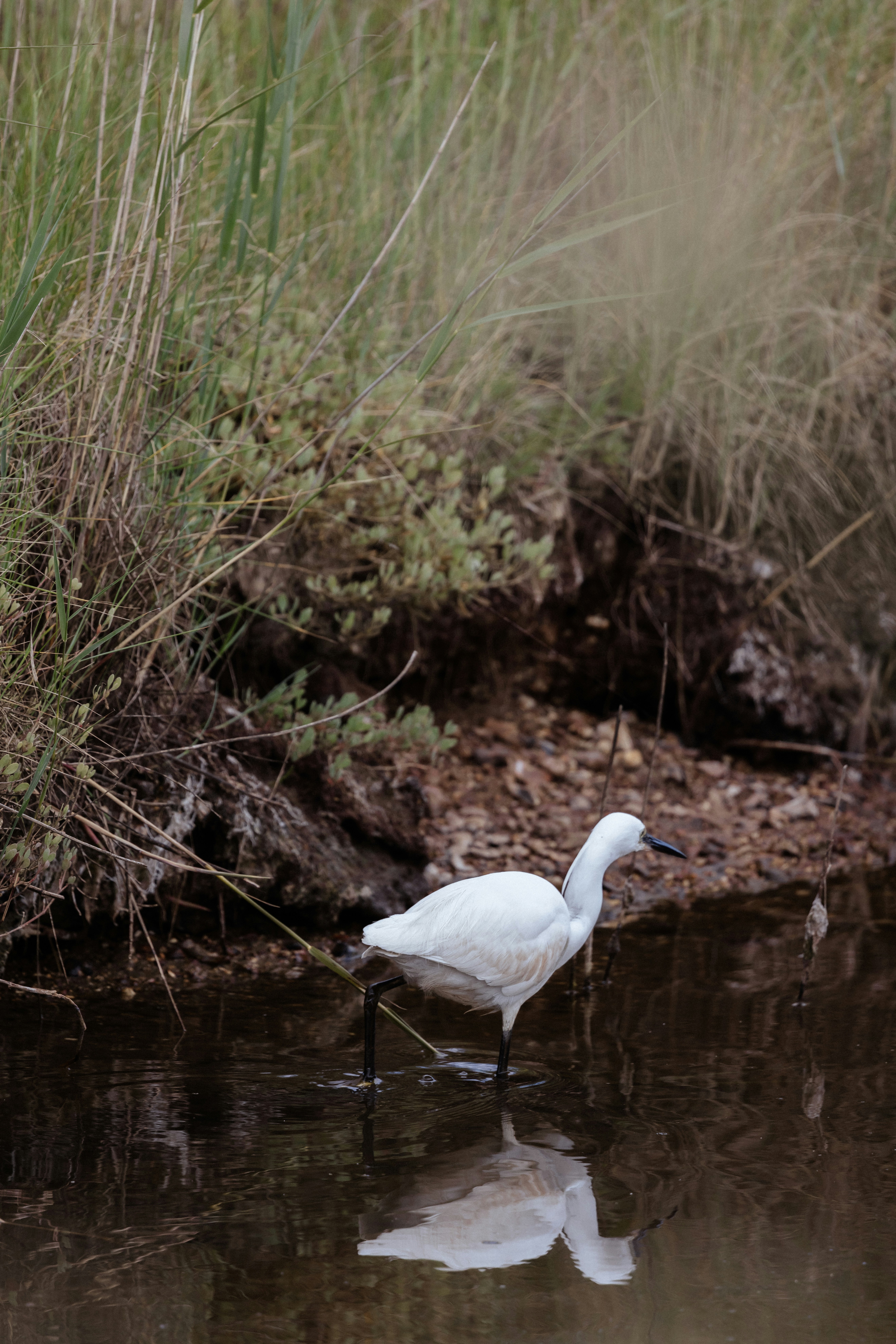 Photo by anniespratt