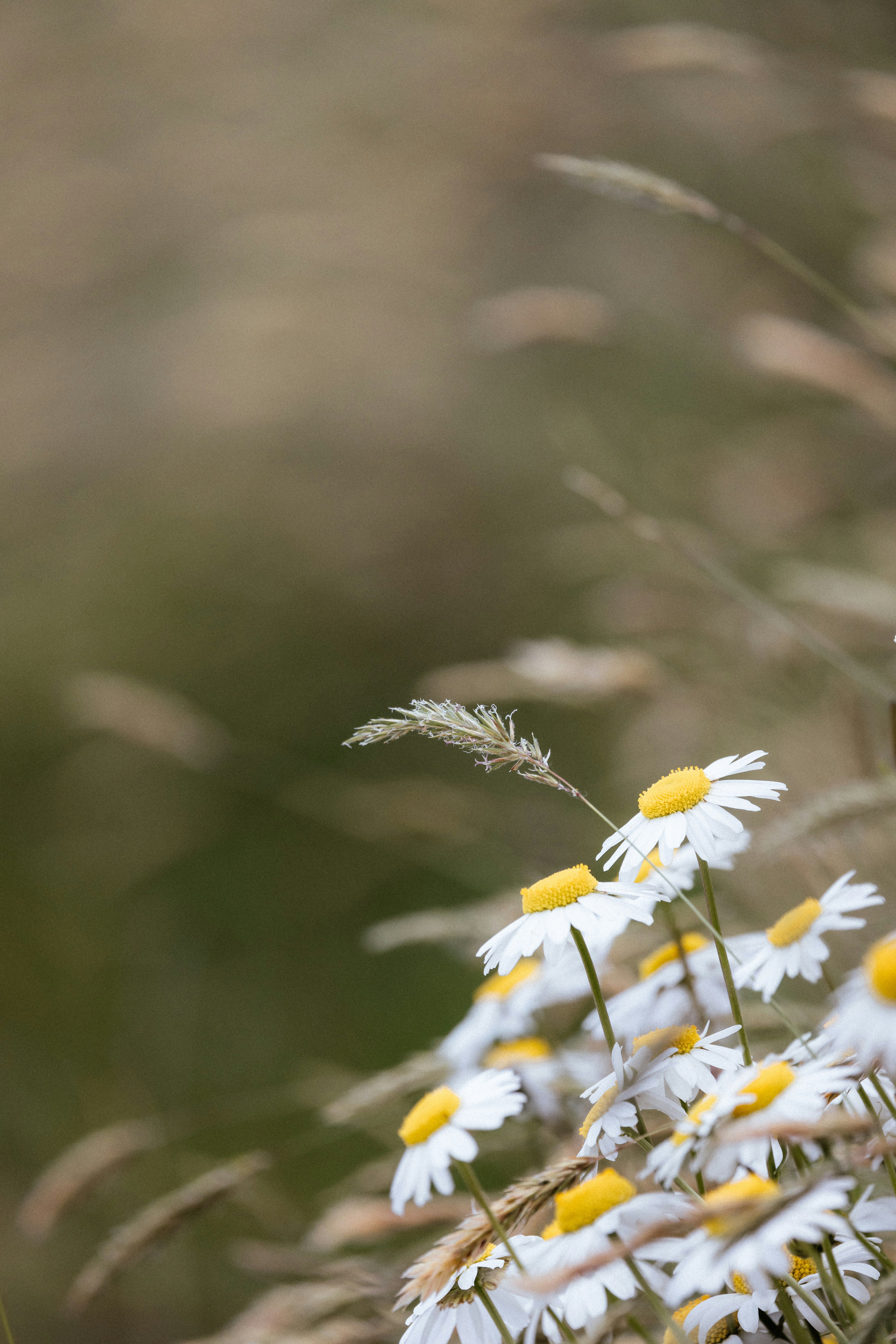 Photo by anniespratt