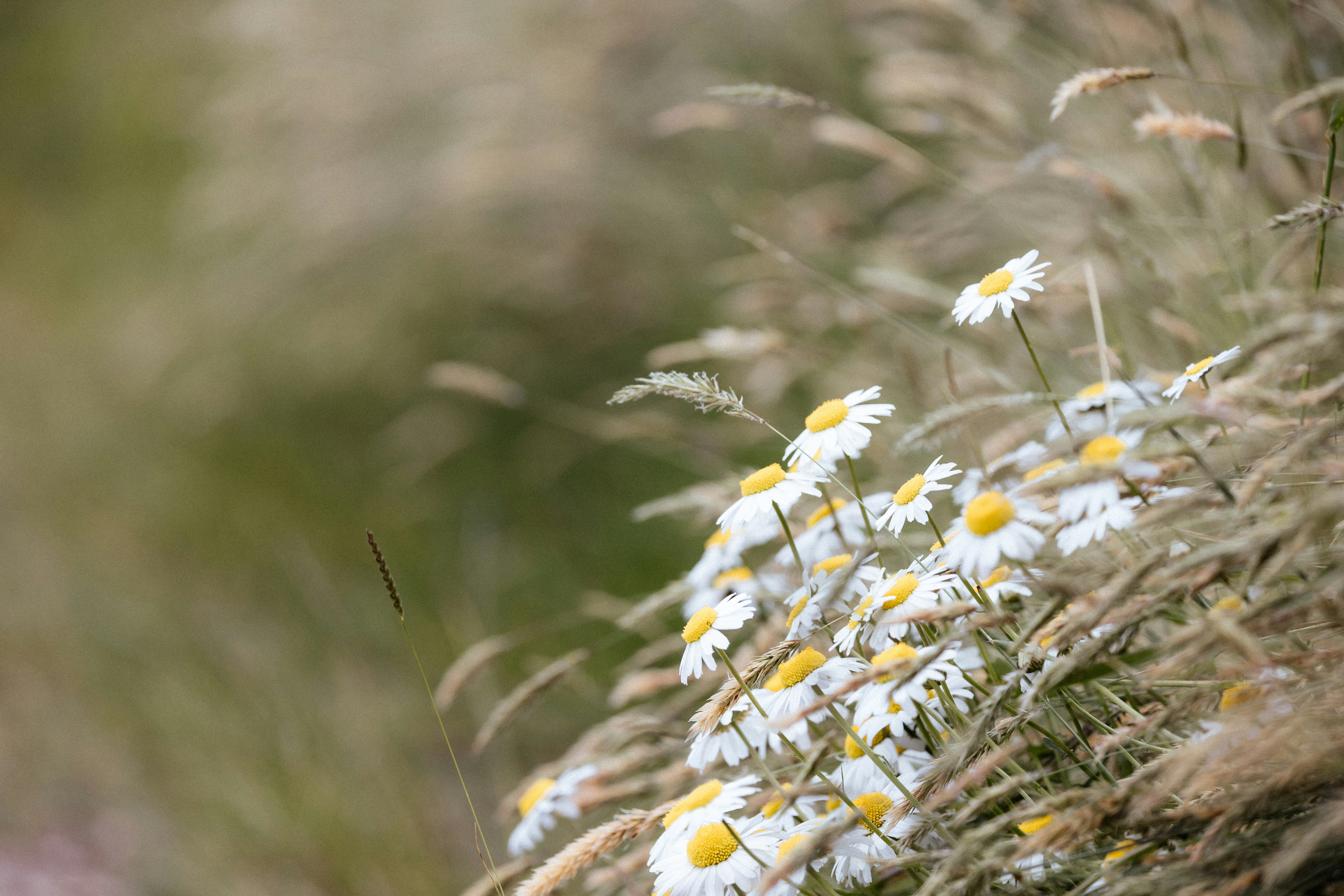 Photo by anniespratt