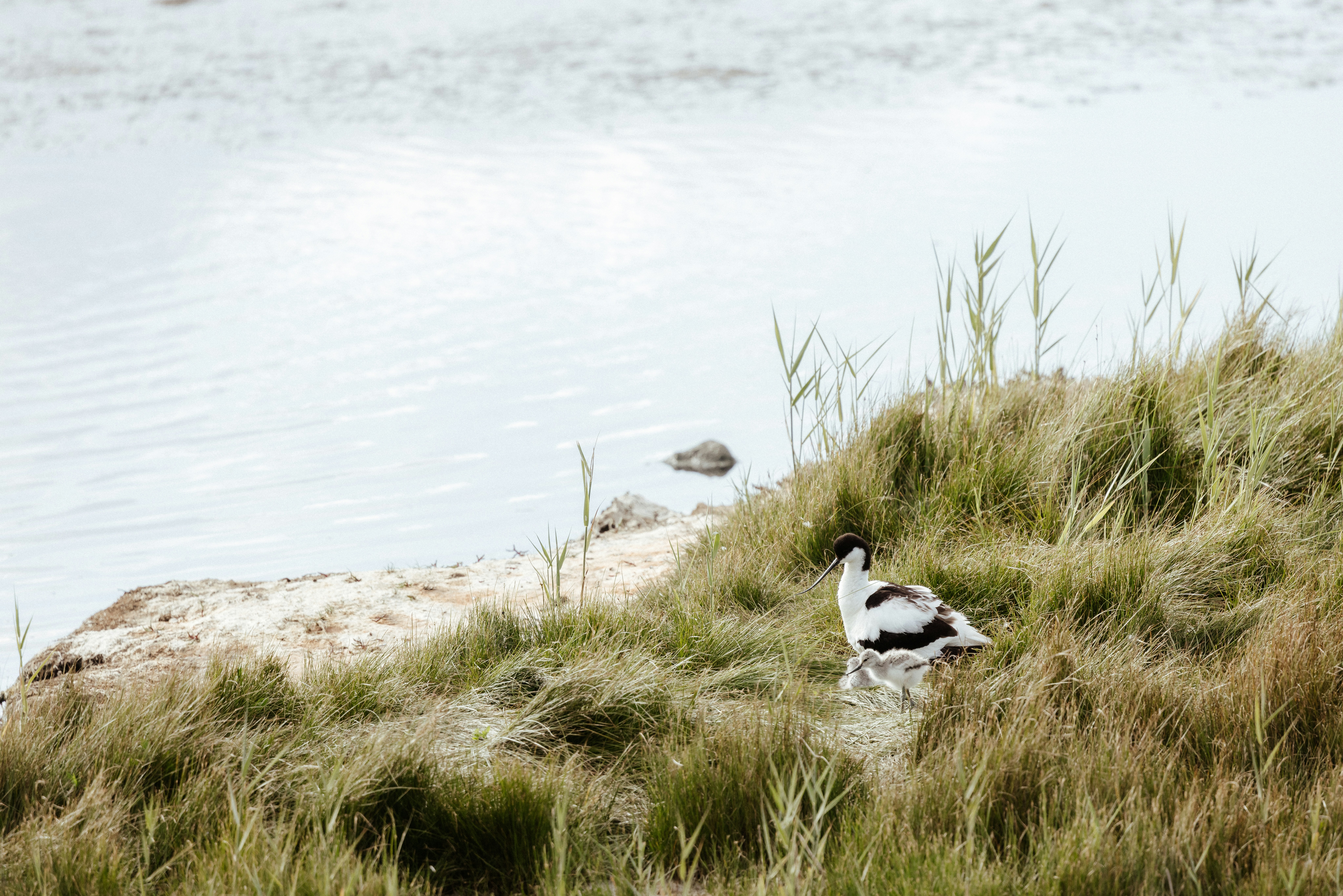 Photo by anniespratt