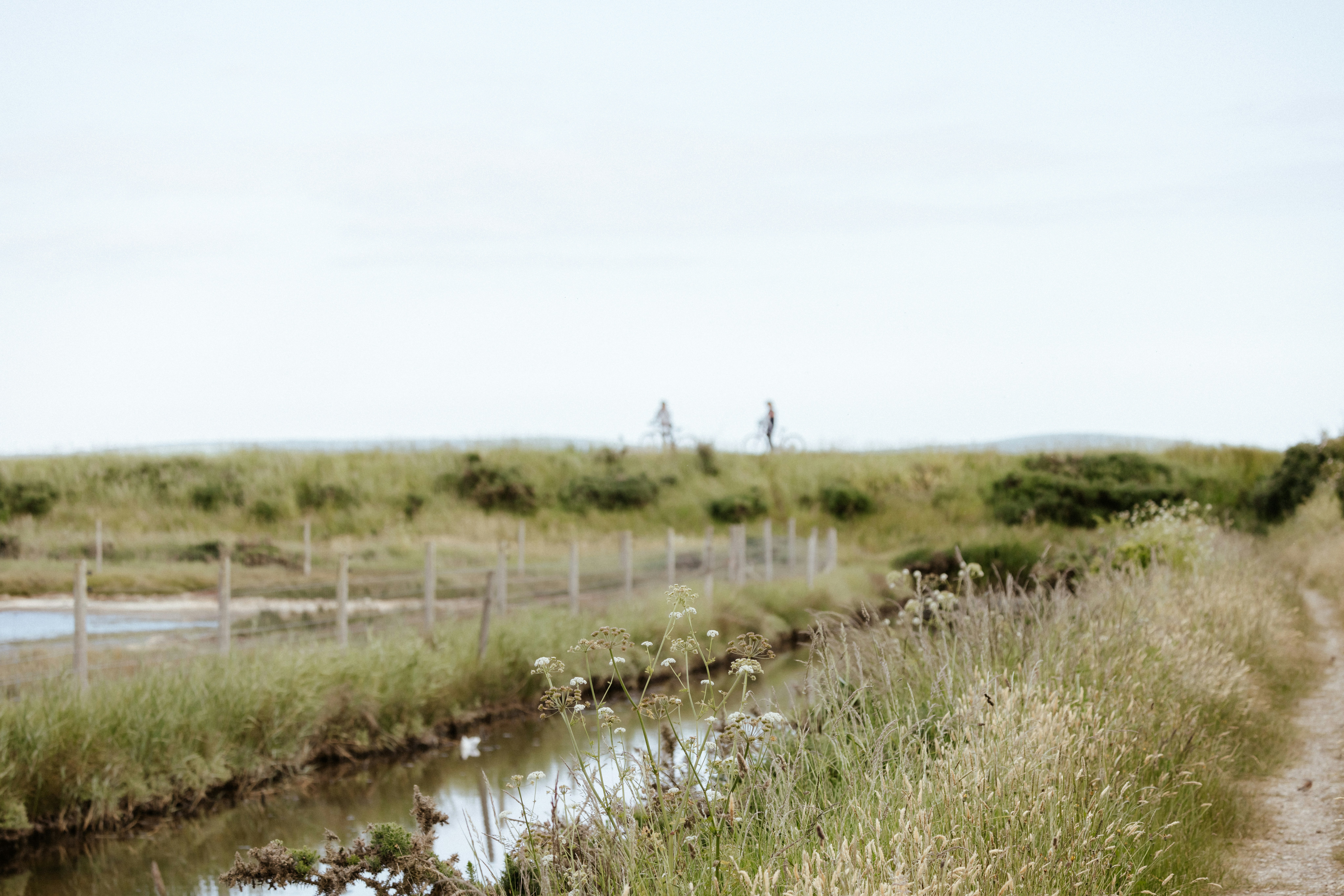 Photo by anniespratt