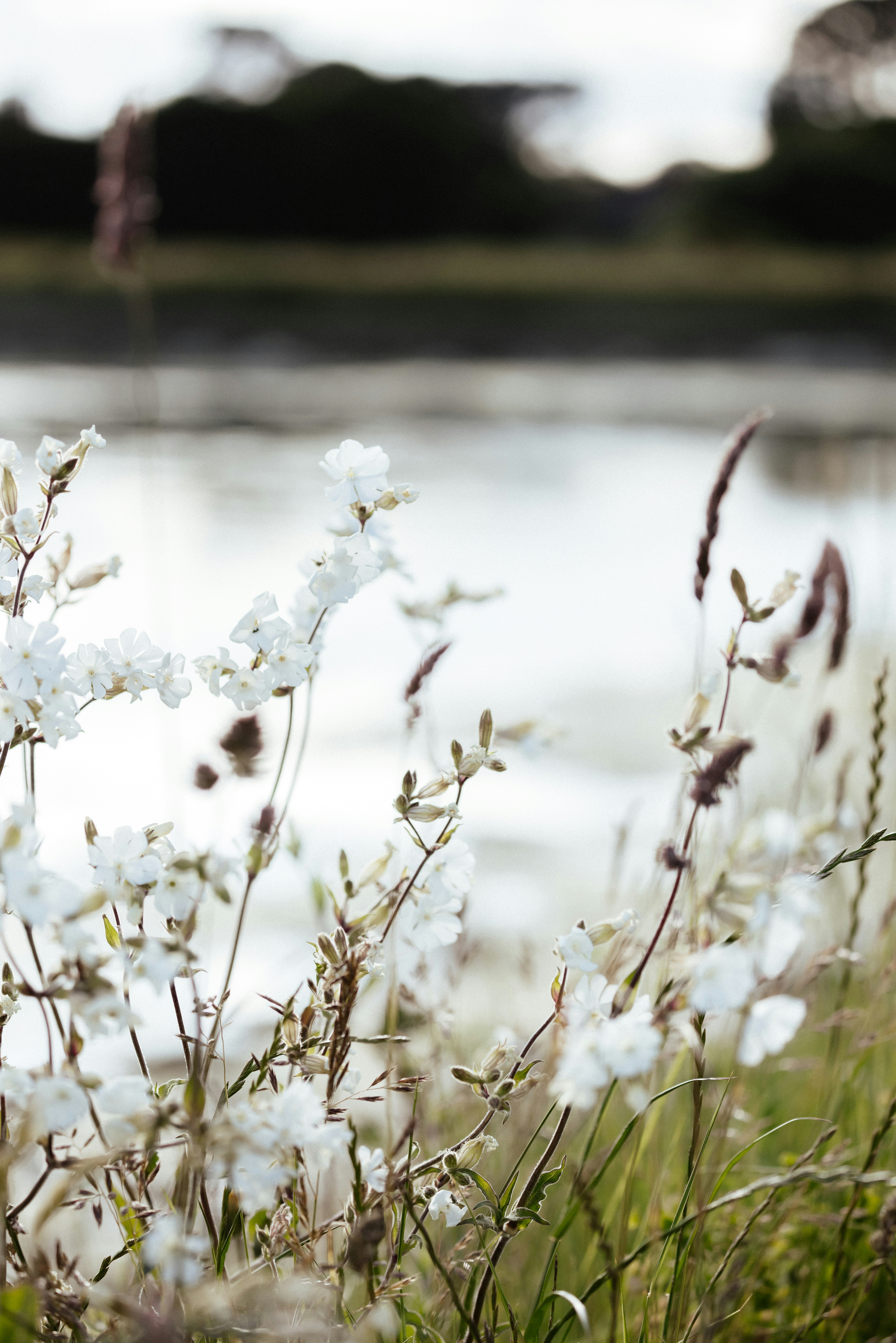 Photo by anniespratt