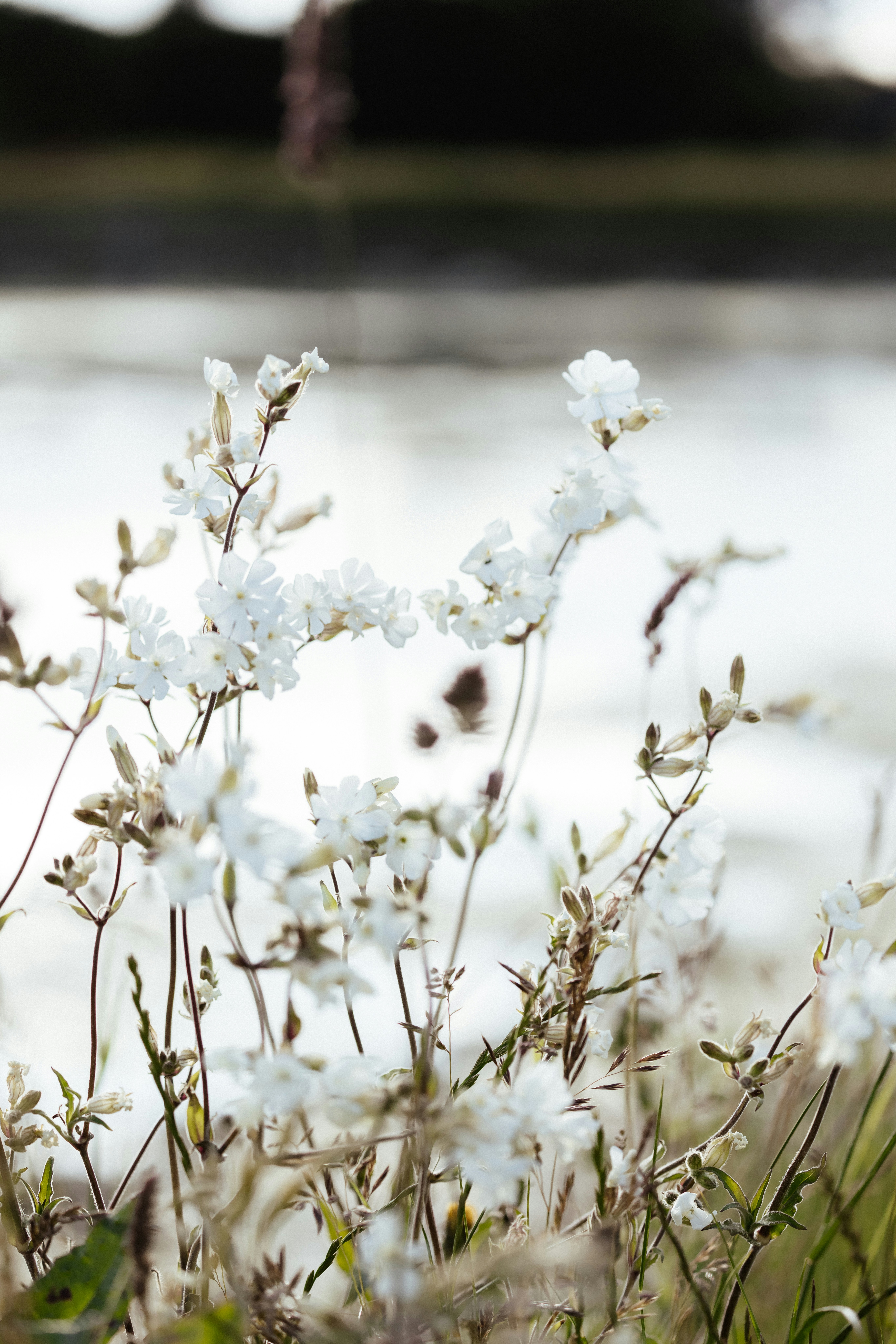 Photo by anniespratt