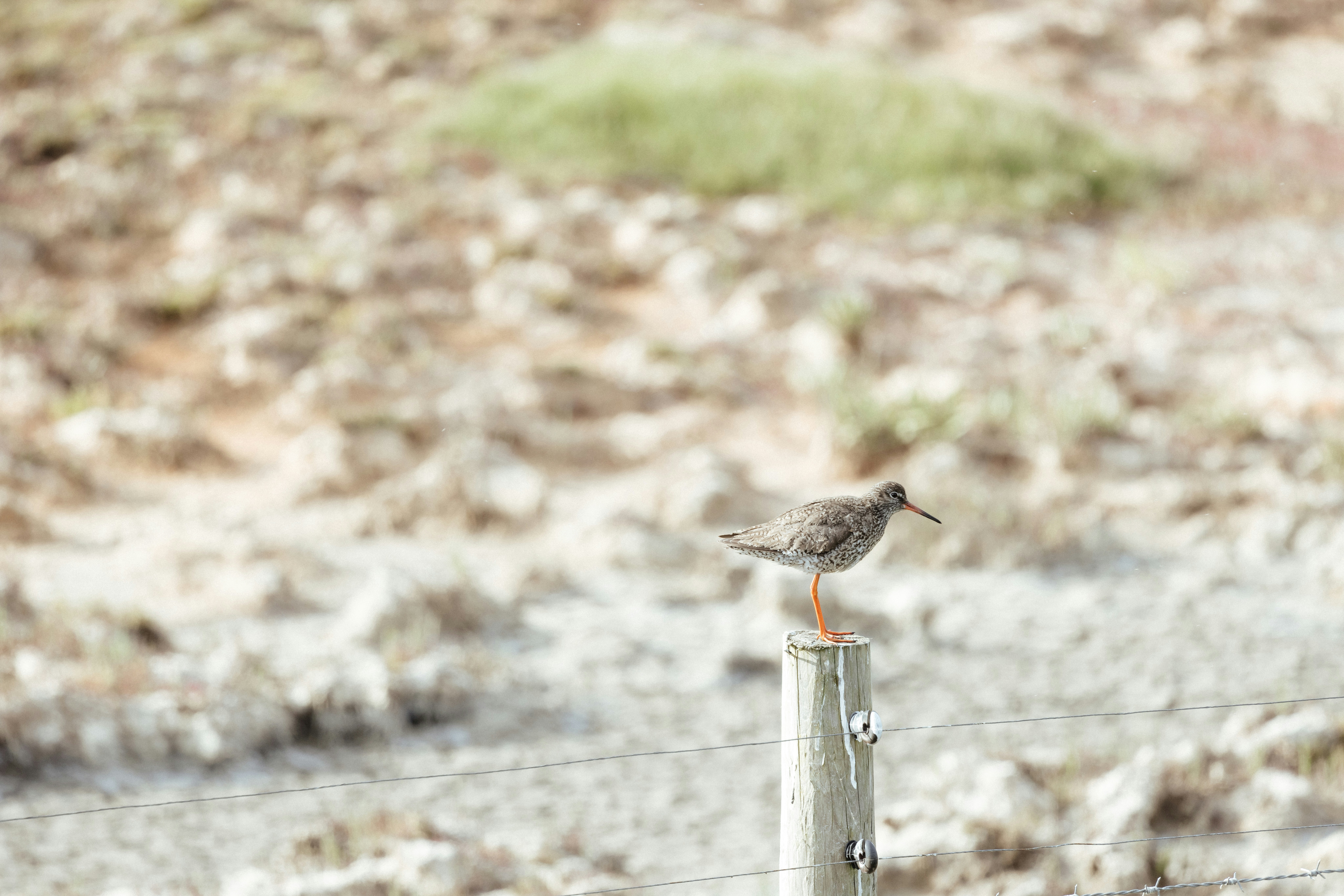 Photo by anniespratt