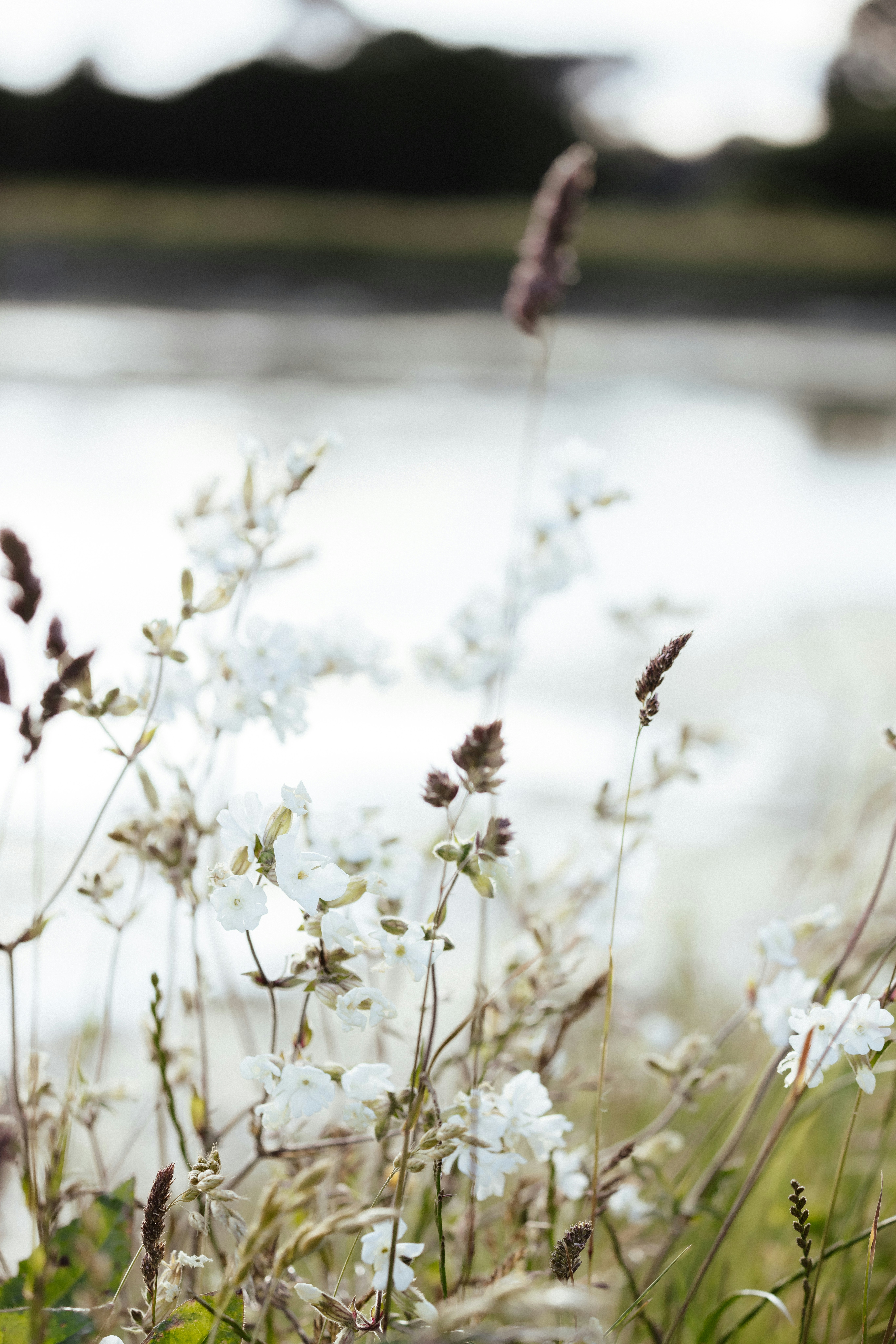 Photo by anniespratt