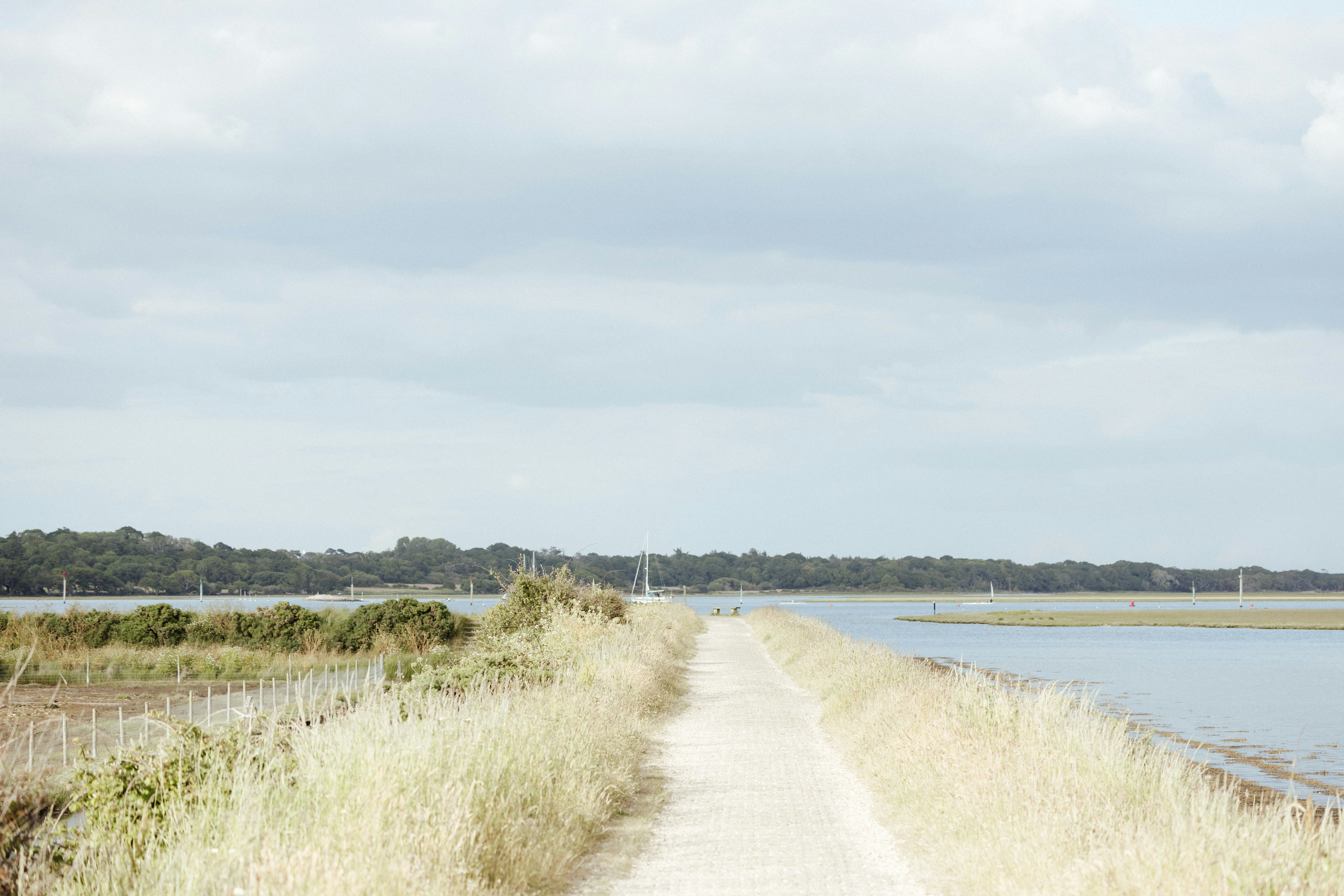 Photo by anniespratt