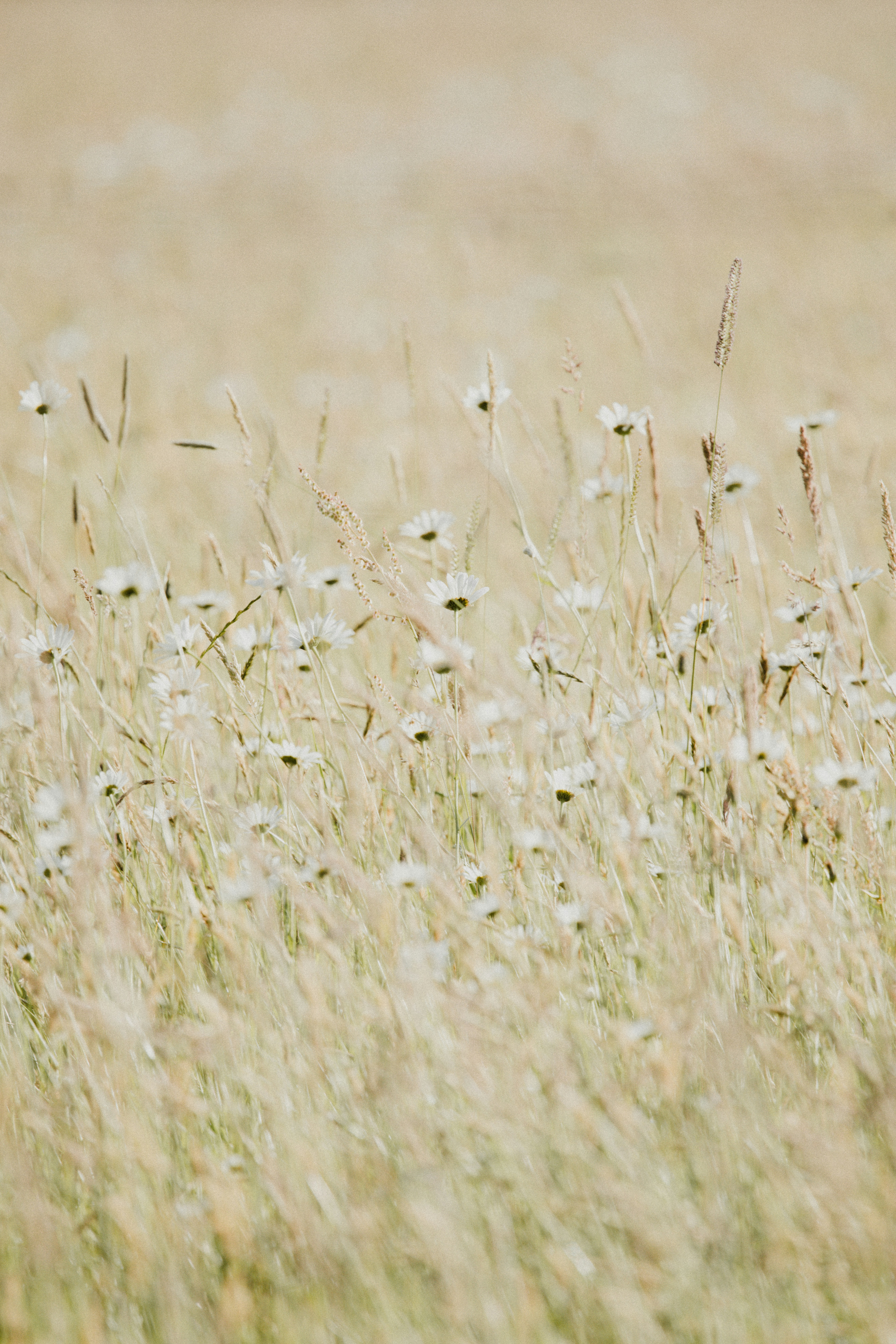 Photo by anniespratt