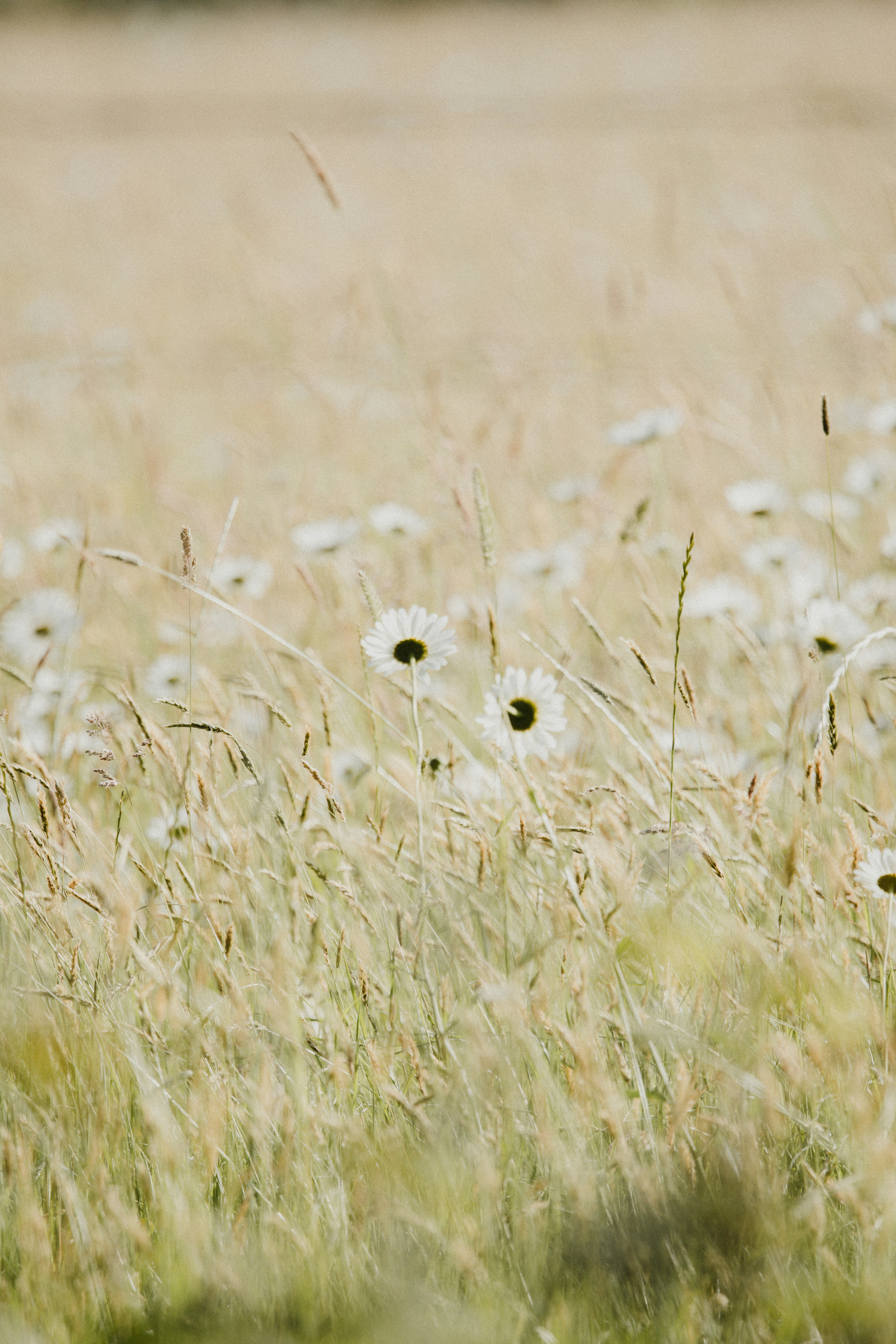 Photo by anniespratt