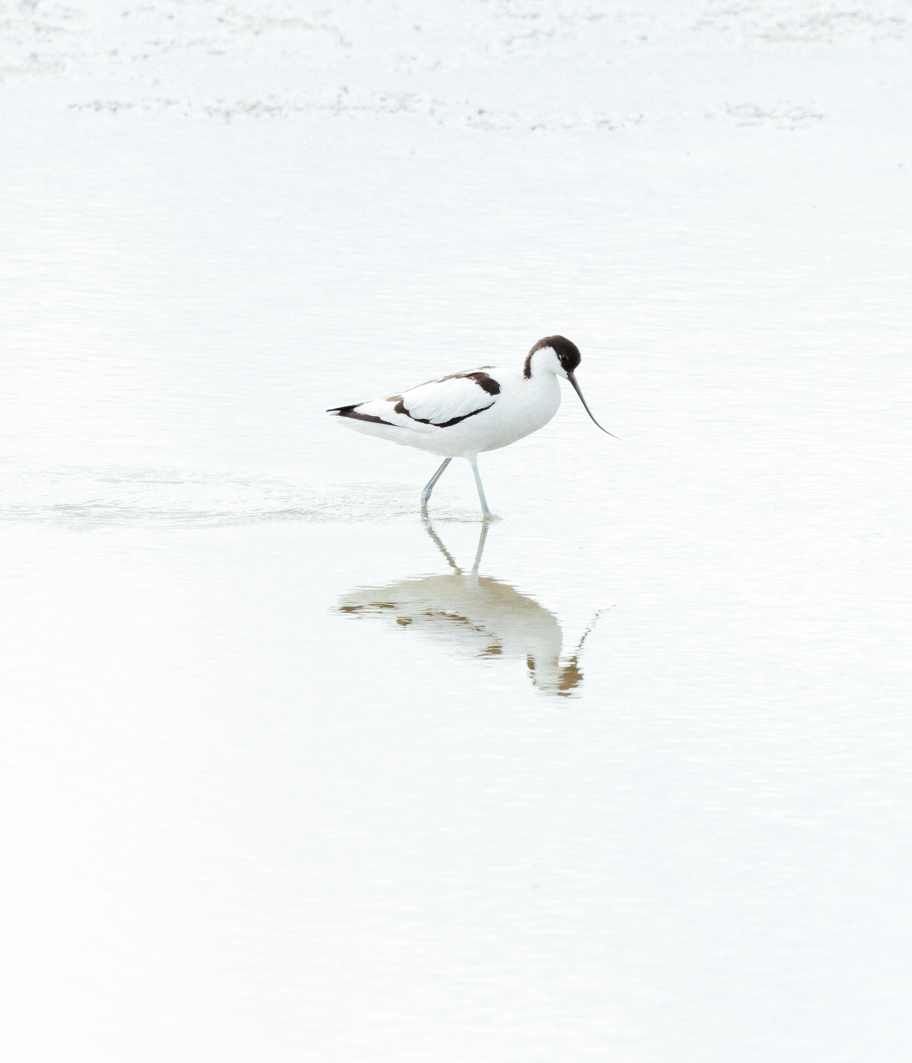 Photo by anniespratt