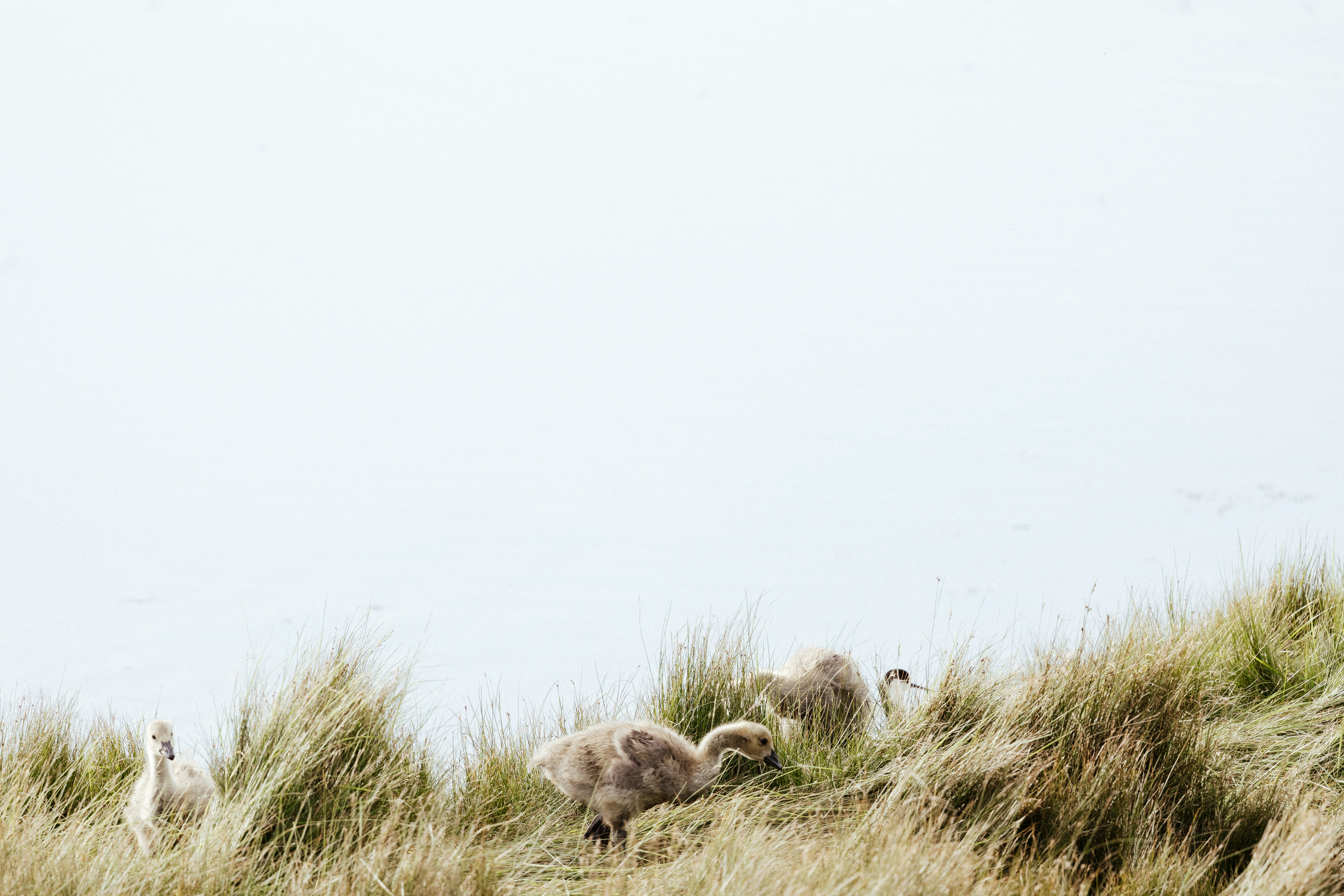 Photo by anniespratt