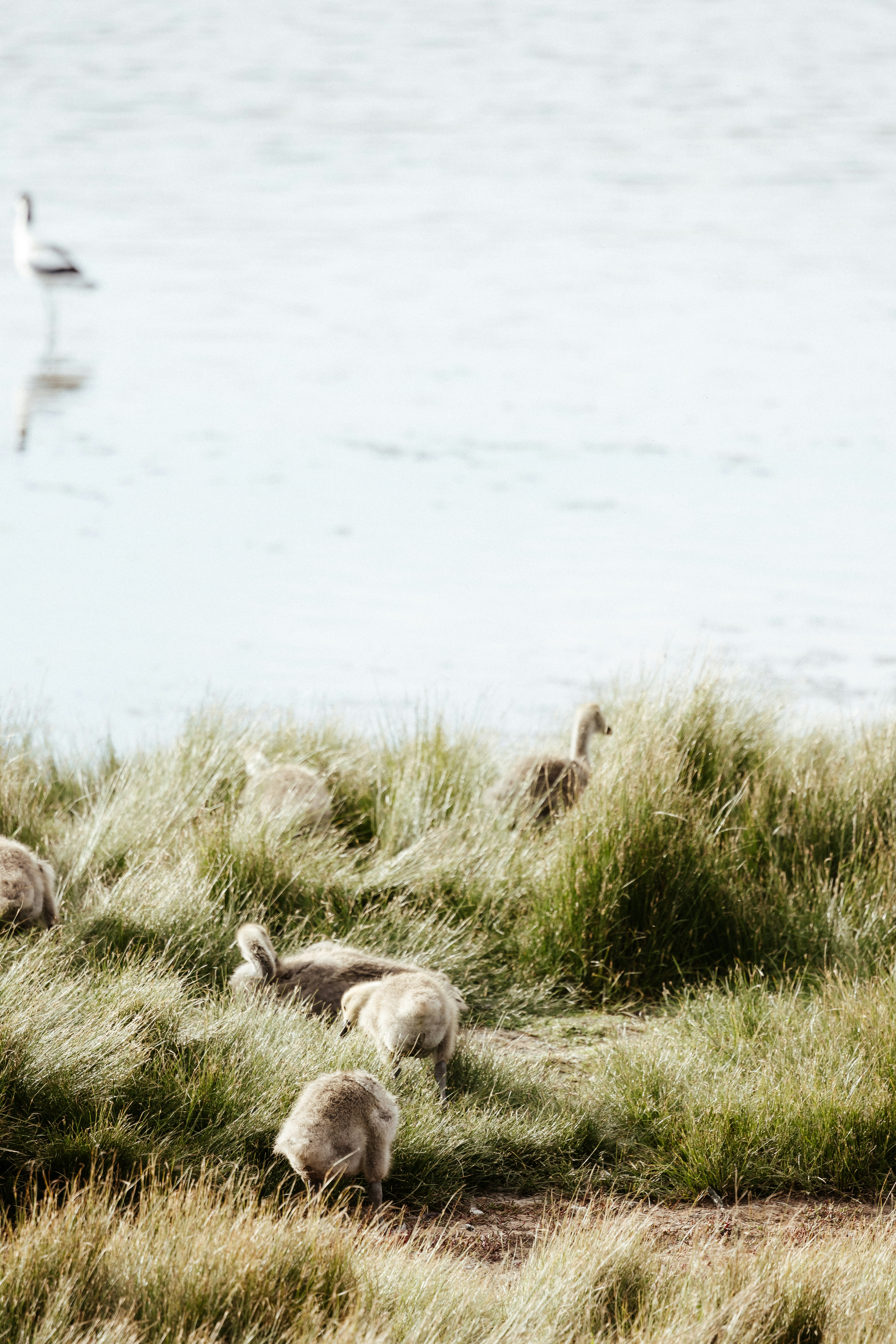 Photo by anniespratt