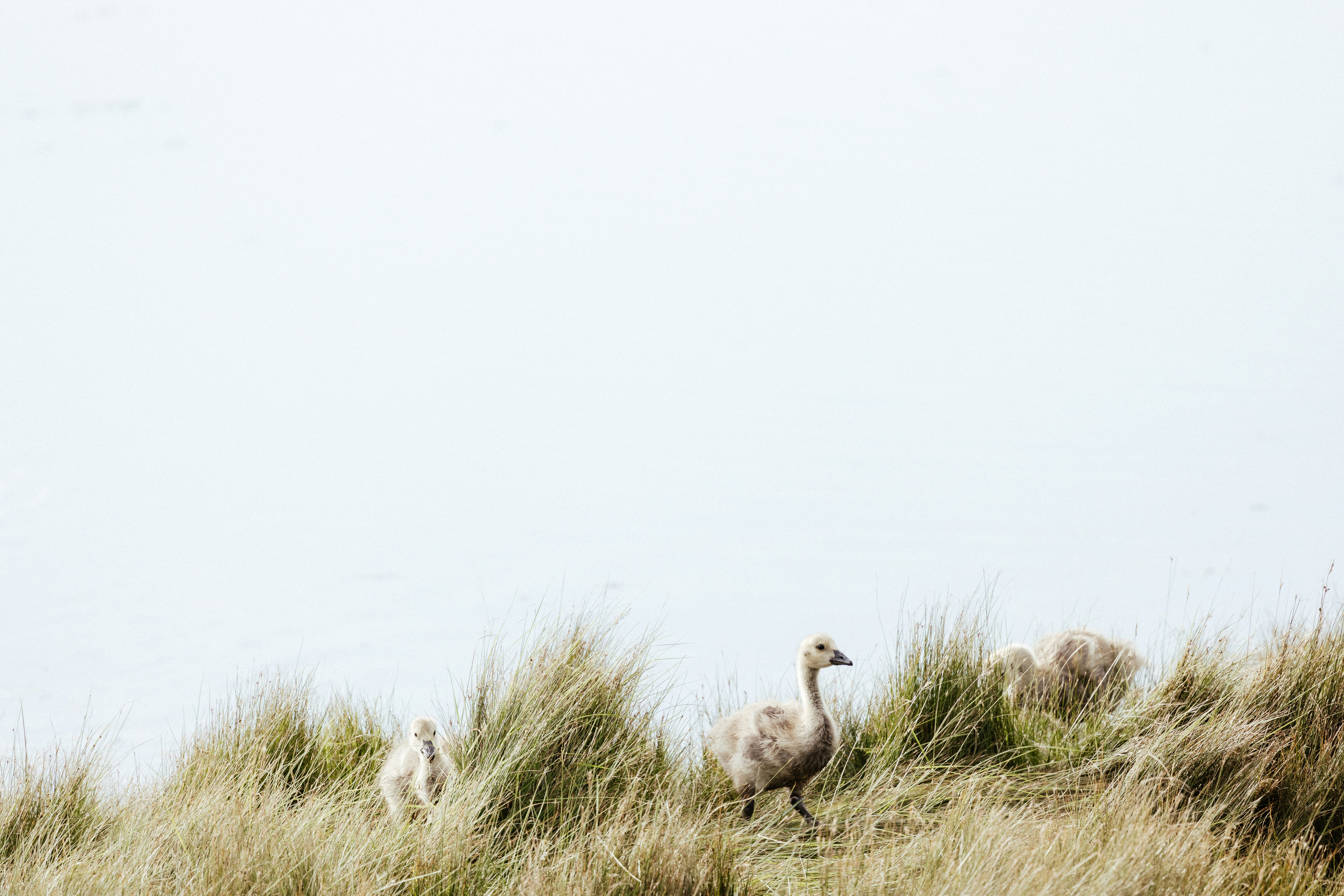 Photo by anniespratt