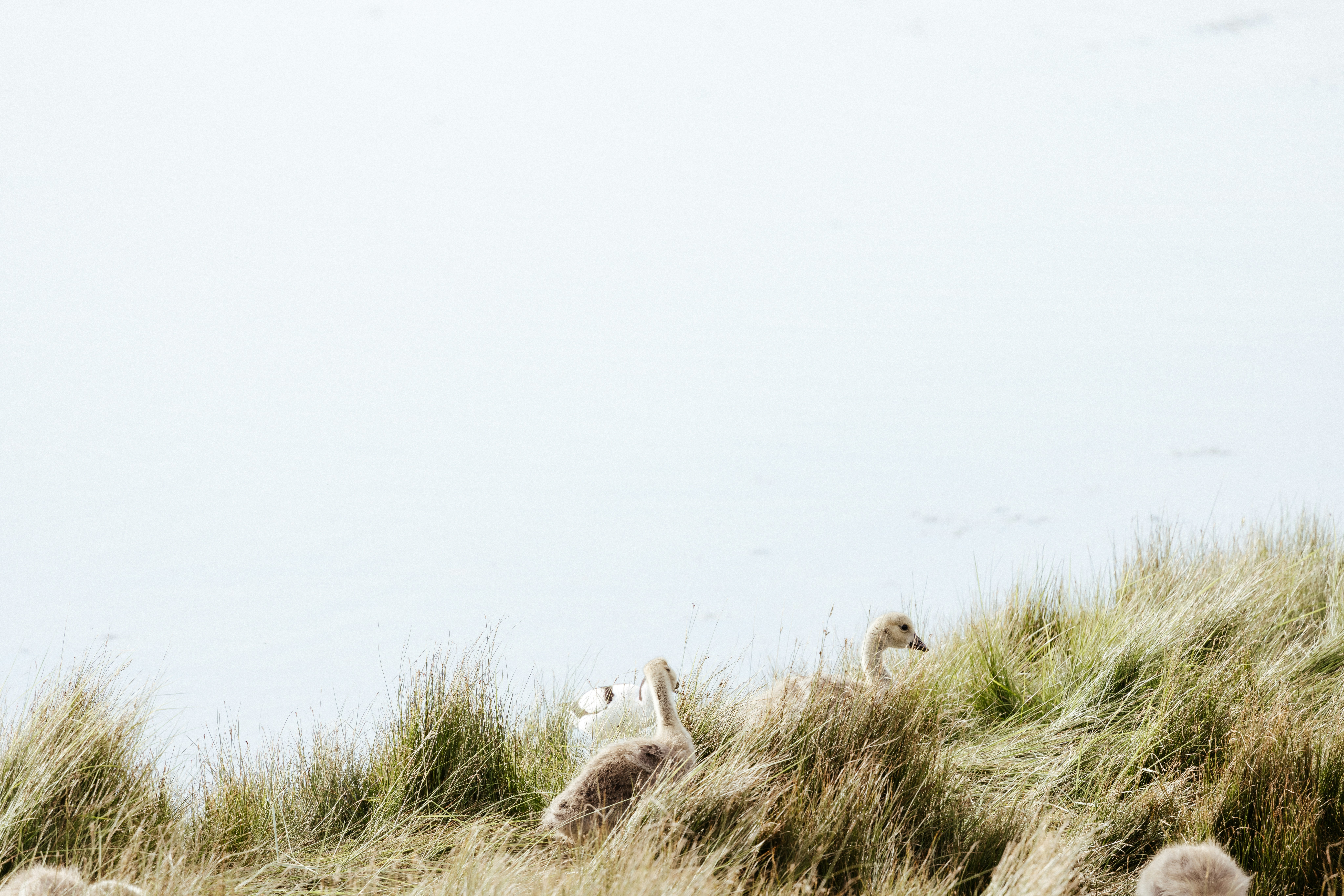 Photo by anniespratt