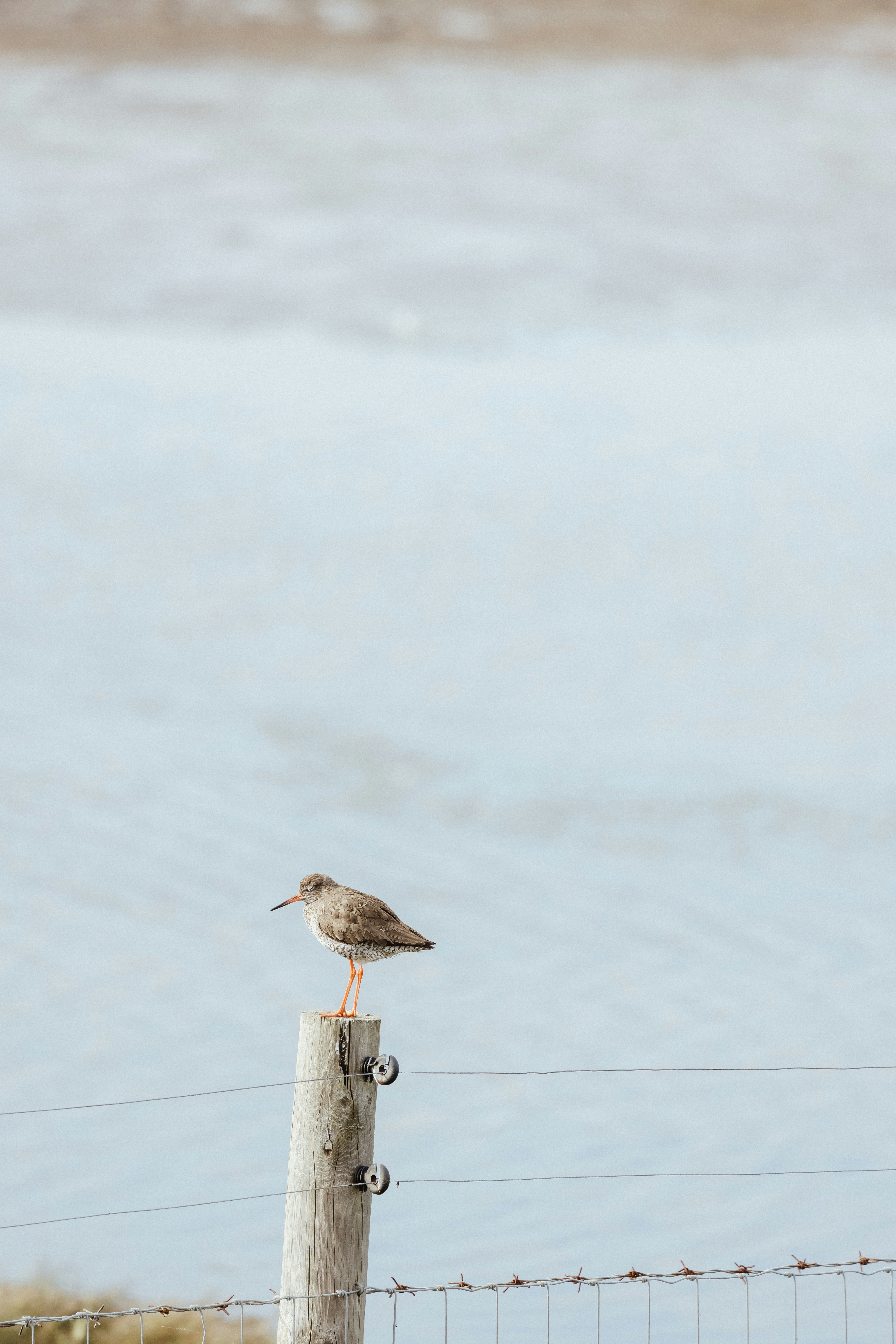 Photo by anniespratt