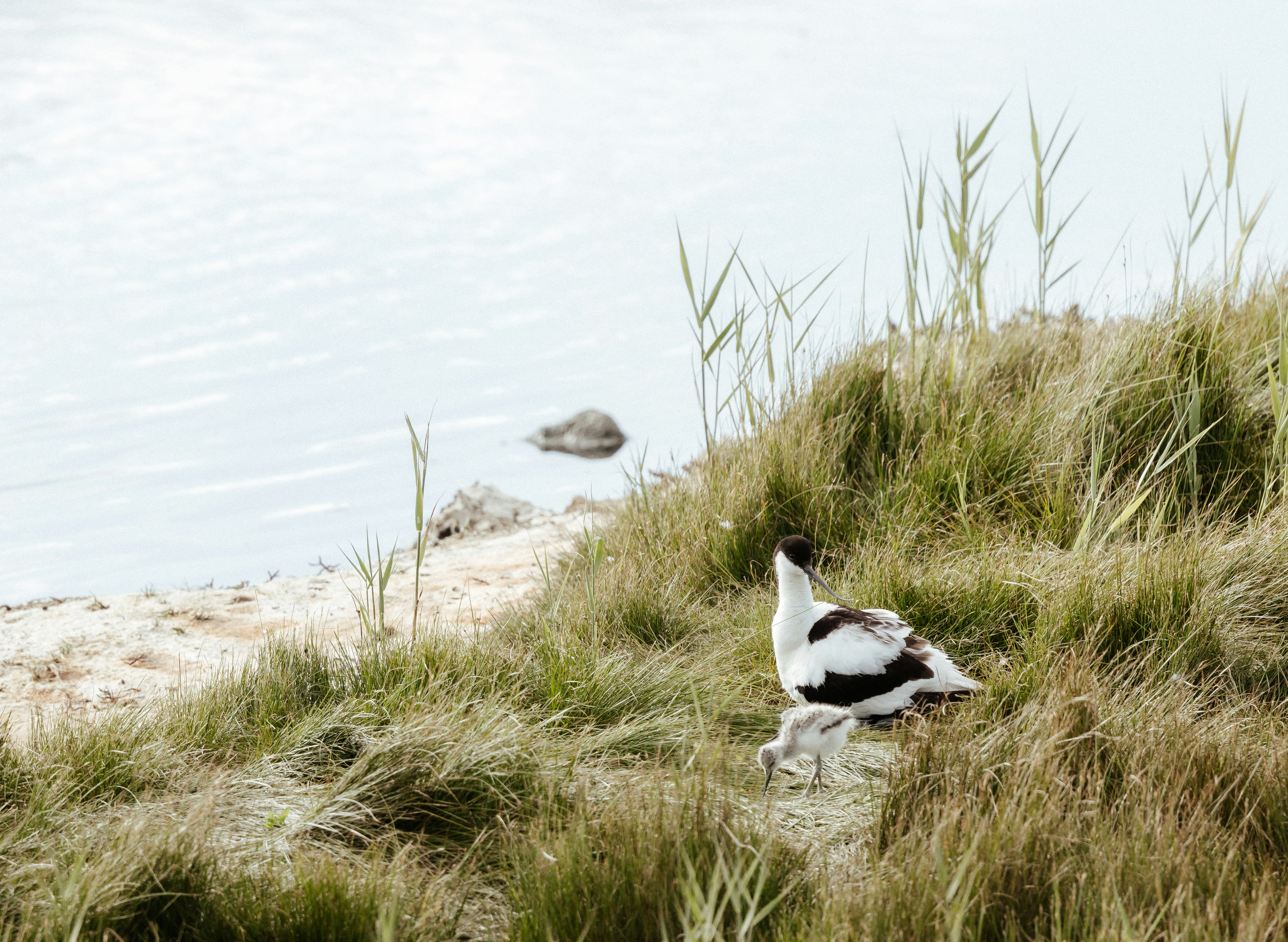 Photo by anniespratt