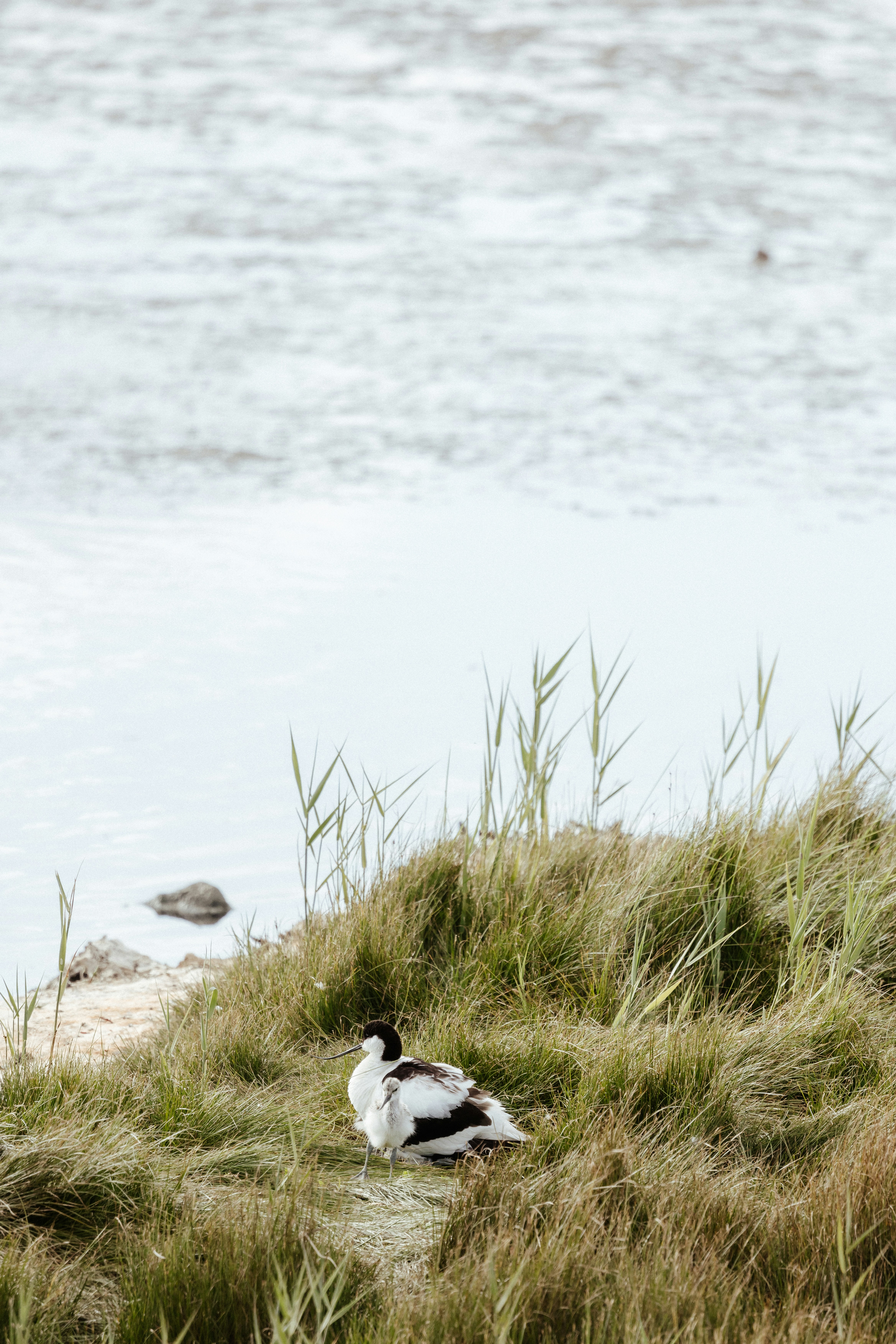 Photo by anniespratt