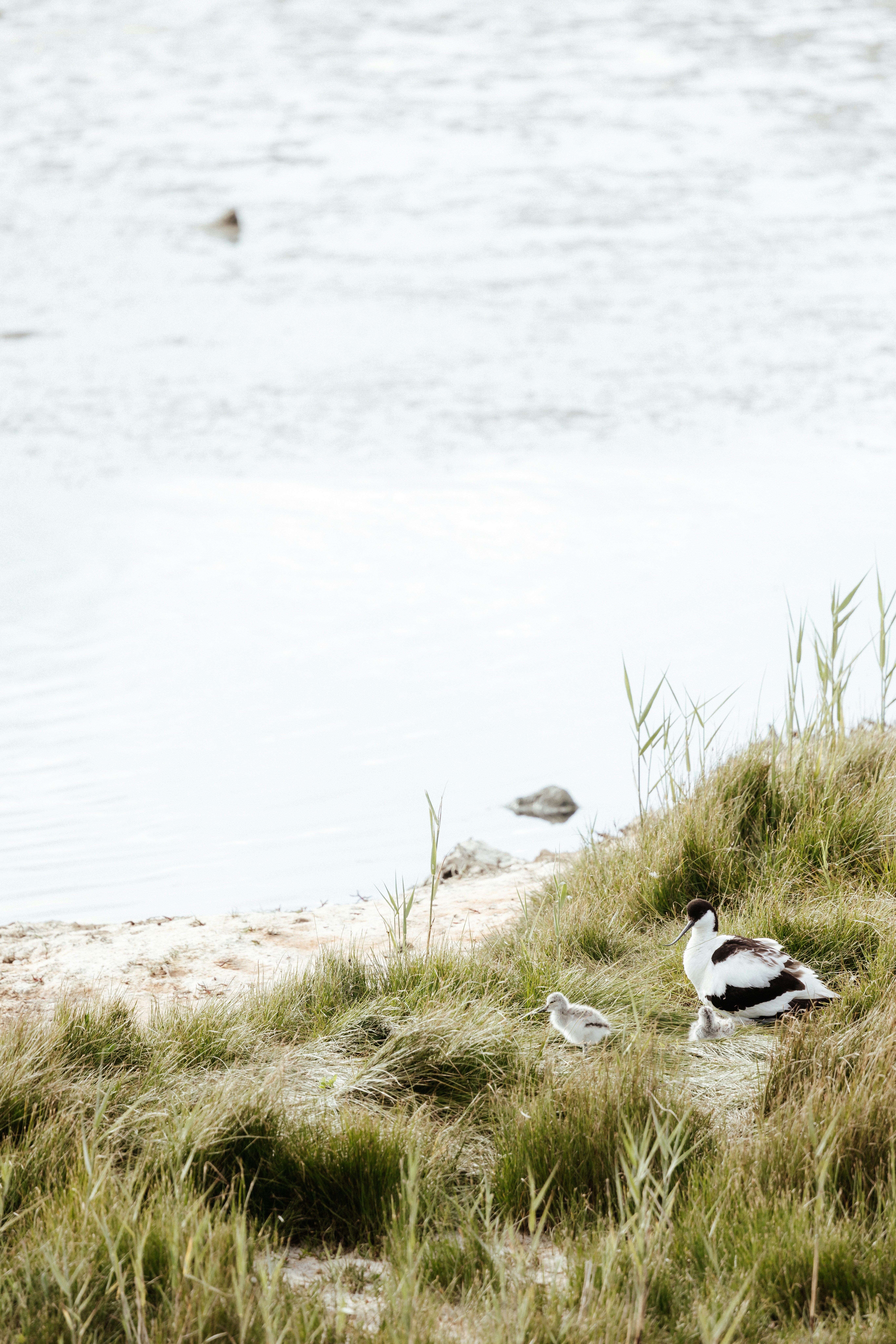 Photo by anniespratt