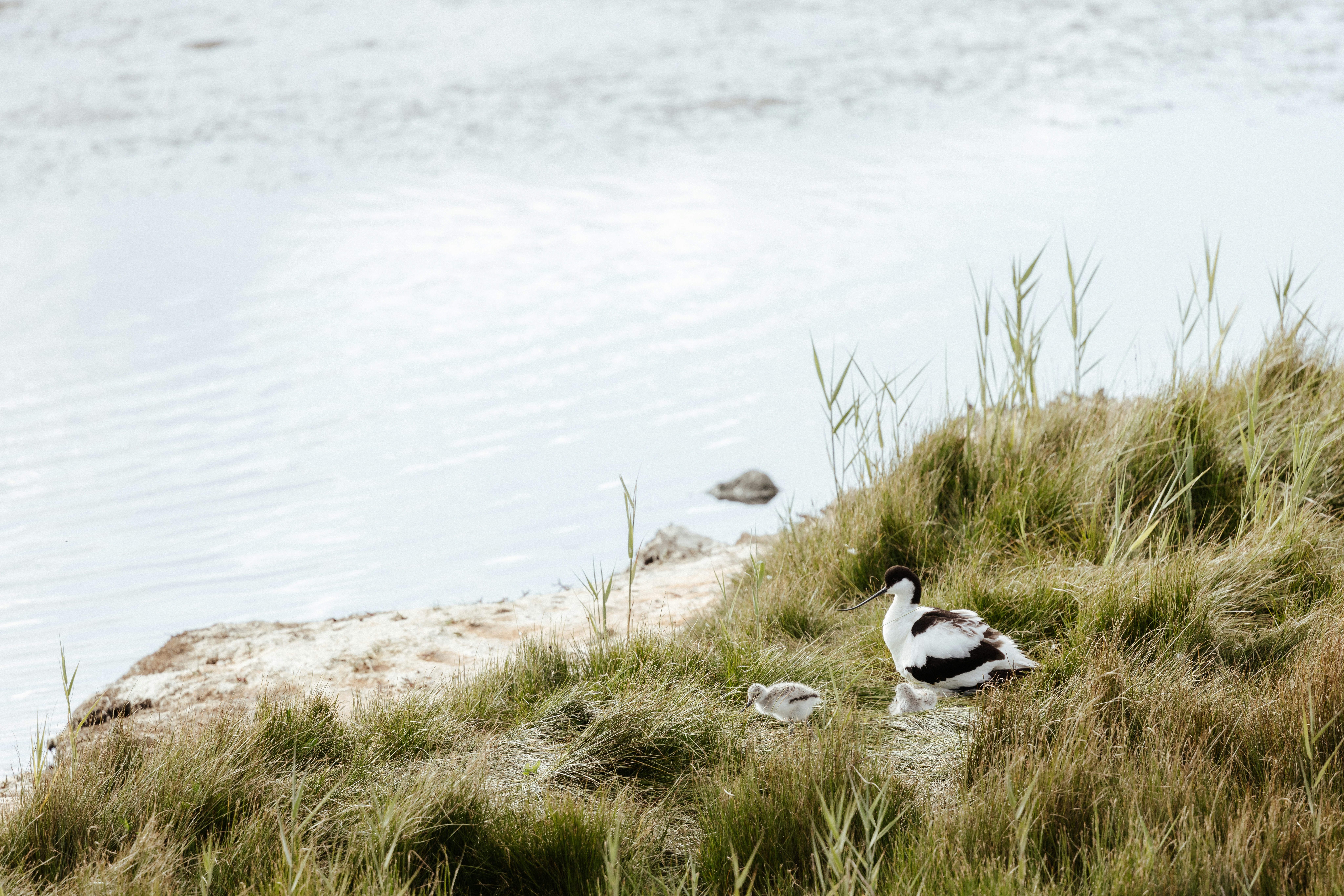Photo by anniespratt
