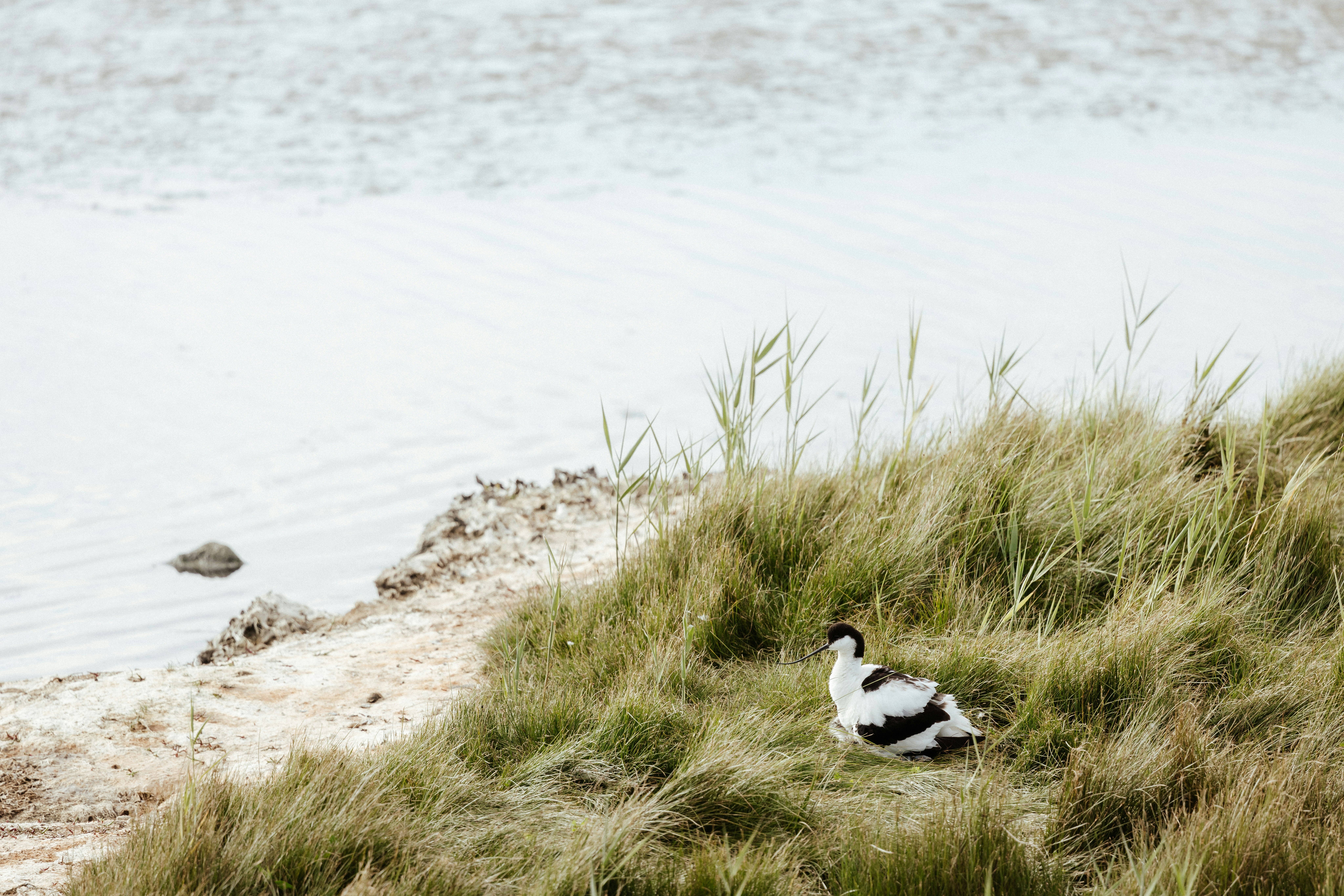 Photo by anniespratt