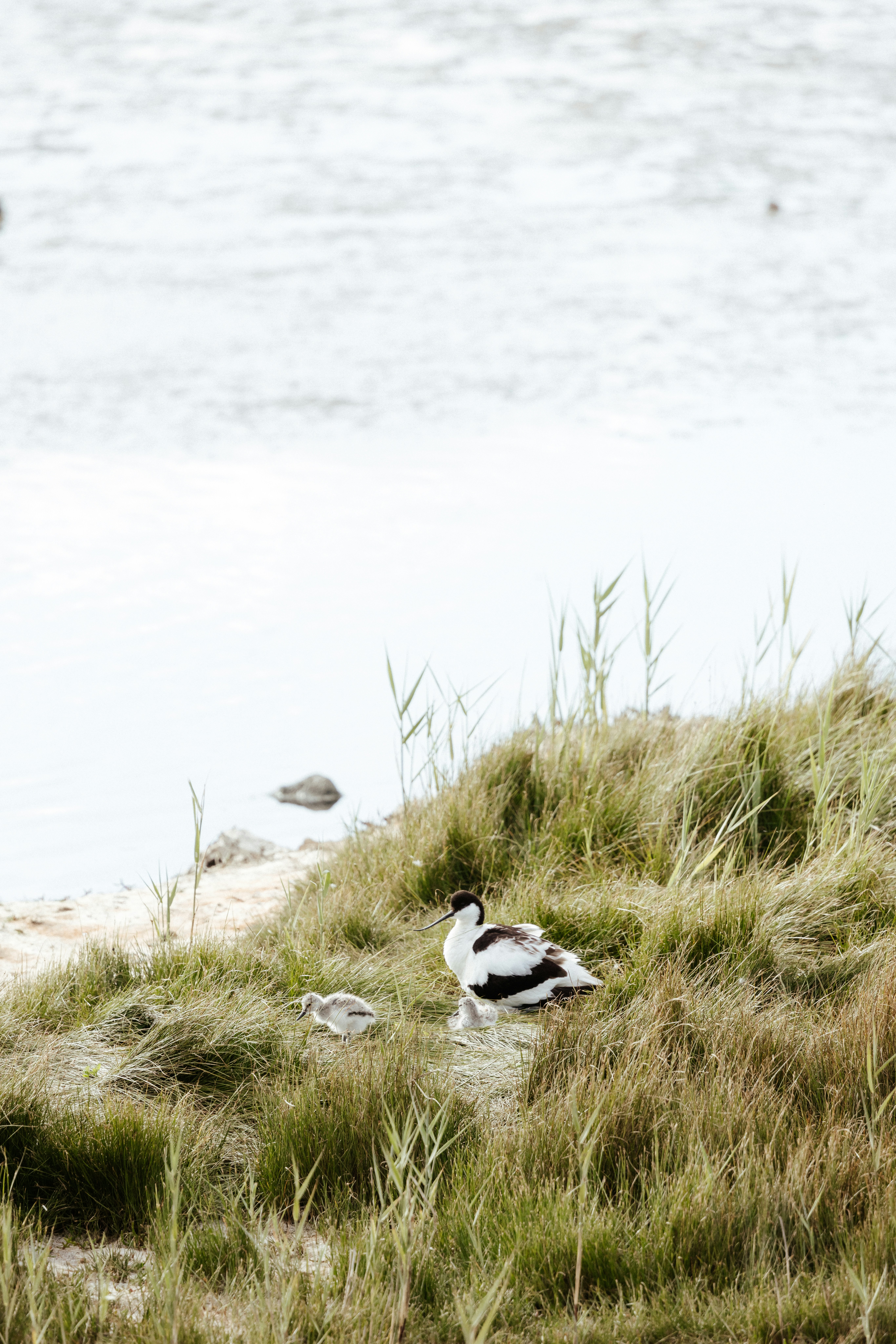 Photo by anniespratt