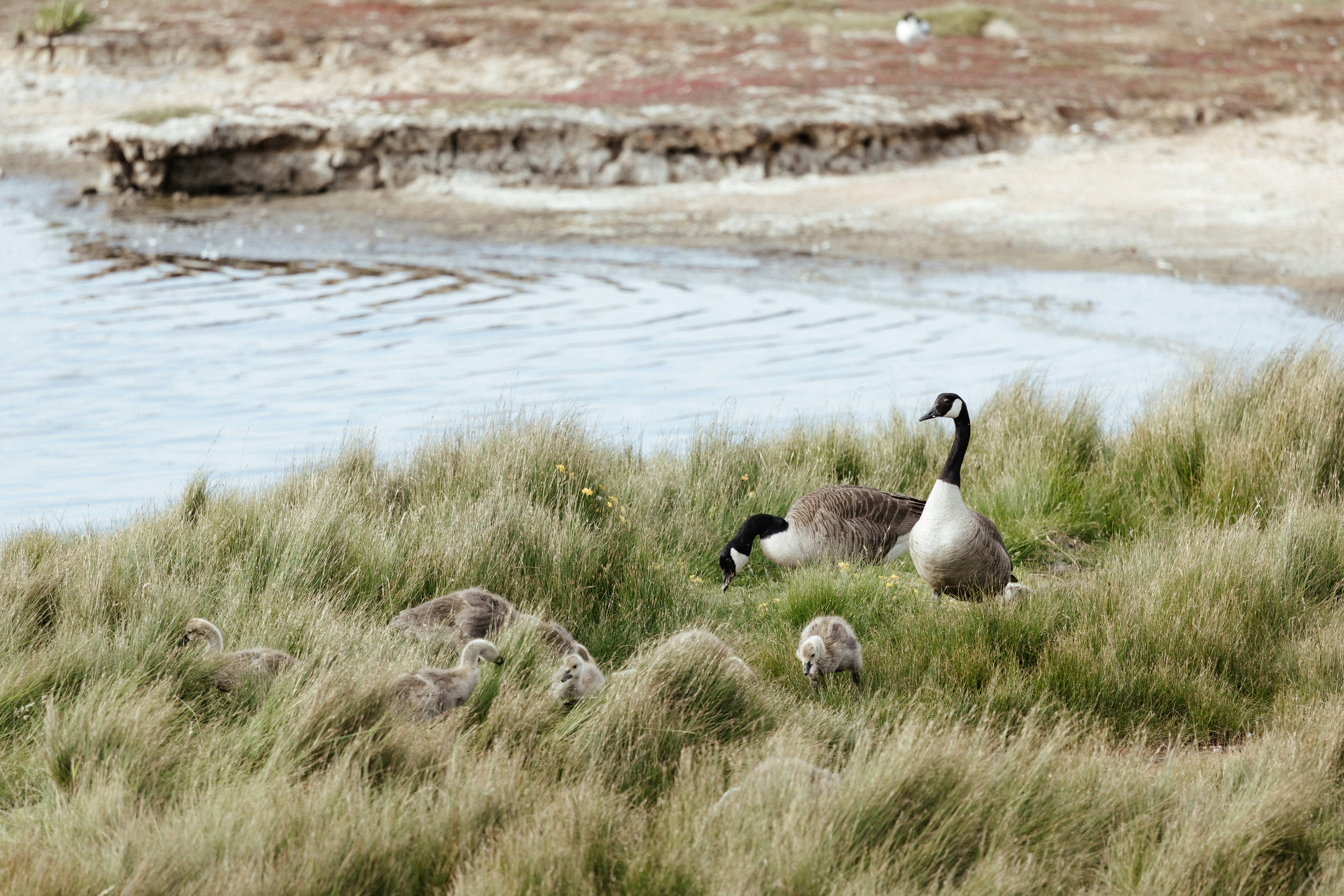 Photo by anniespratt