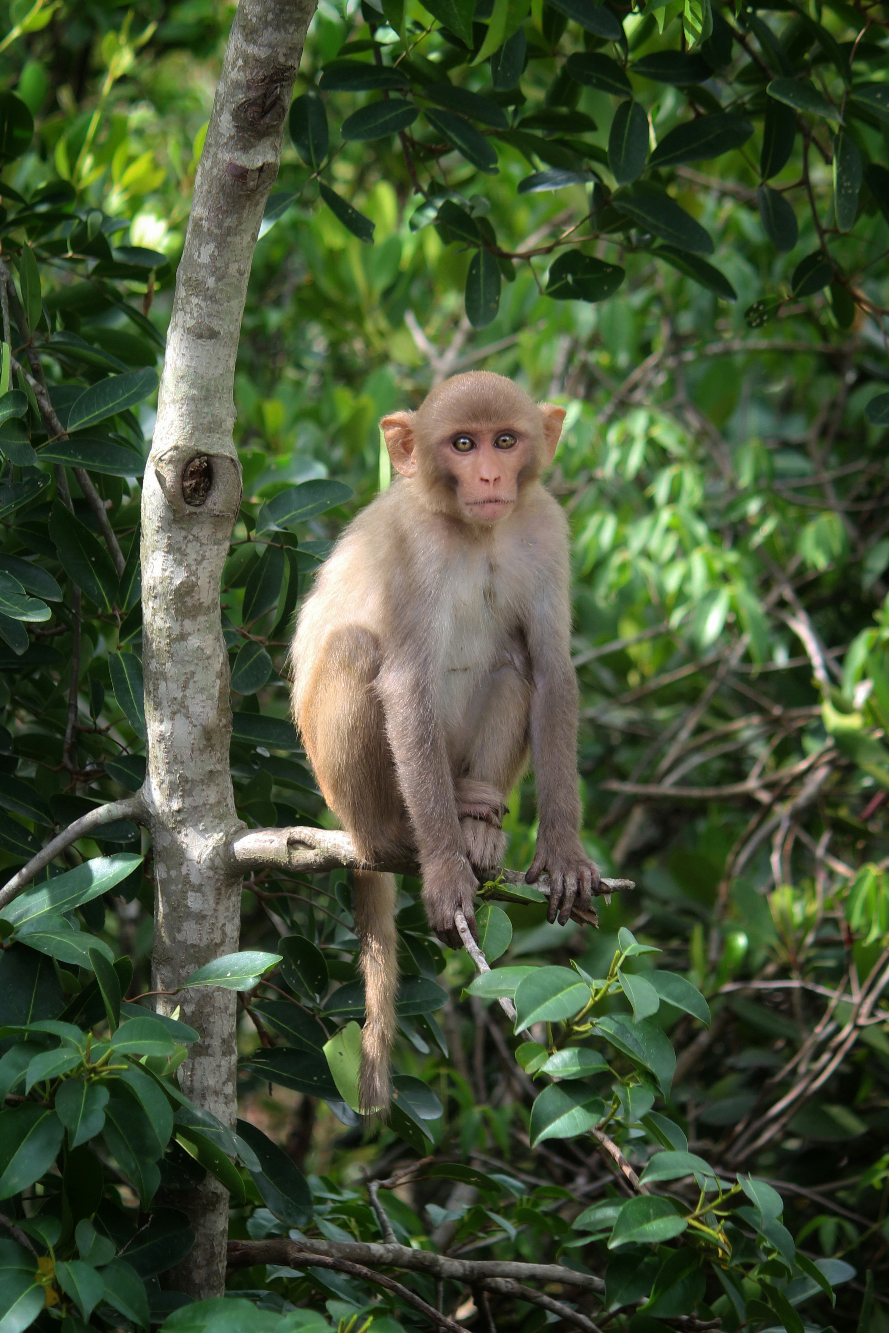 Photo by dibakar16roy