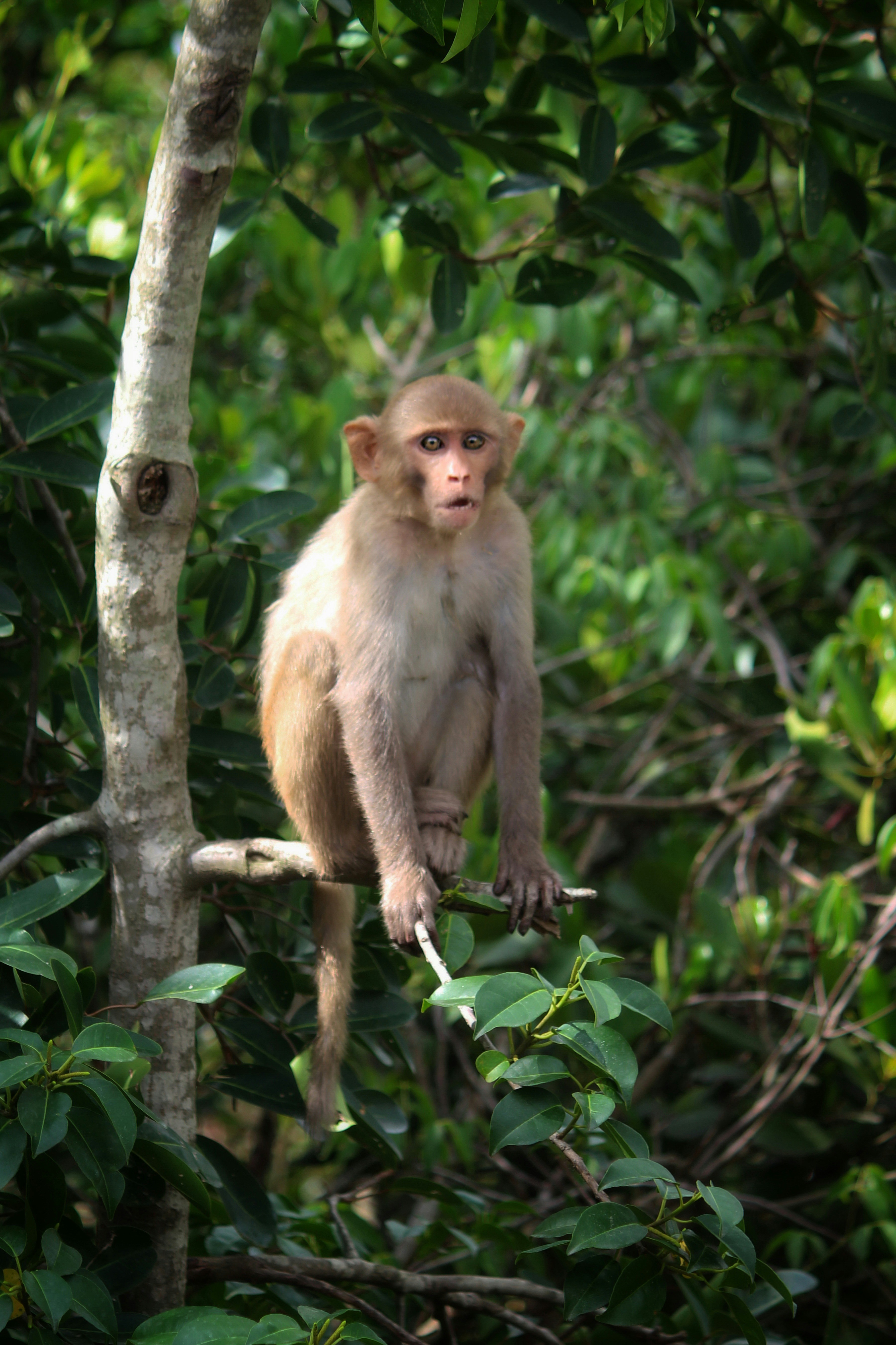 Photo by dibakar16roy