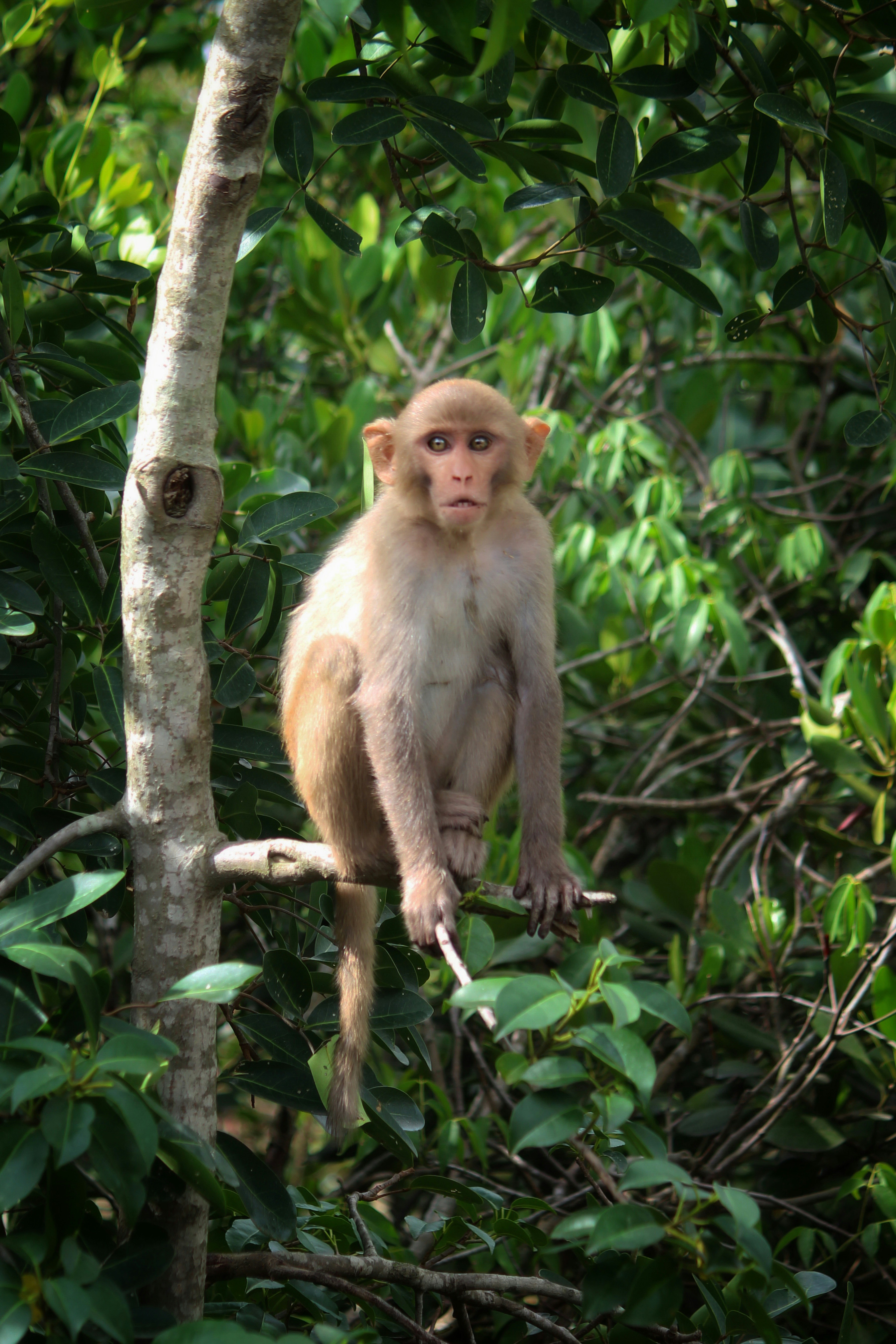 Photo by dibakar16roy