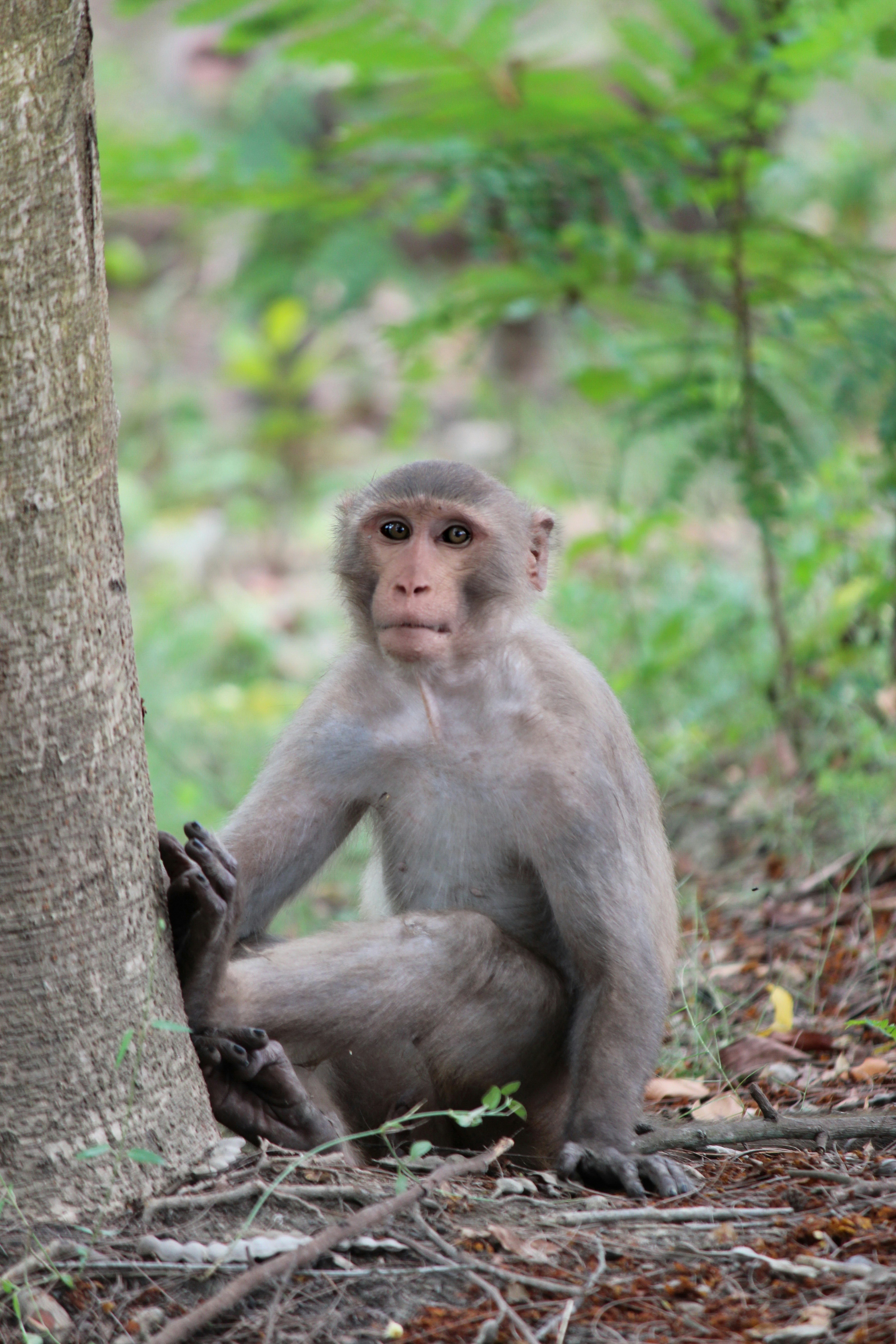 Photo by dibakar16roy