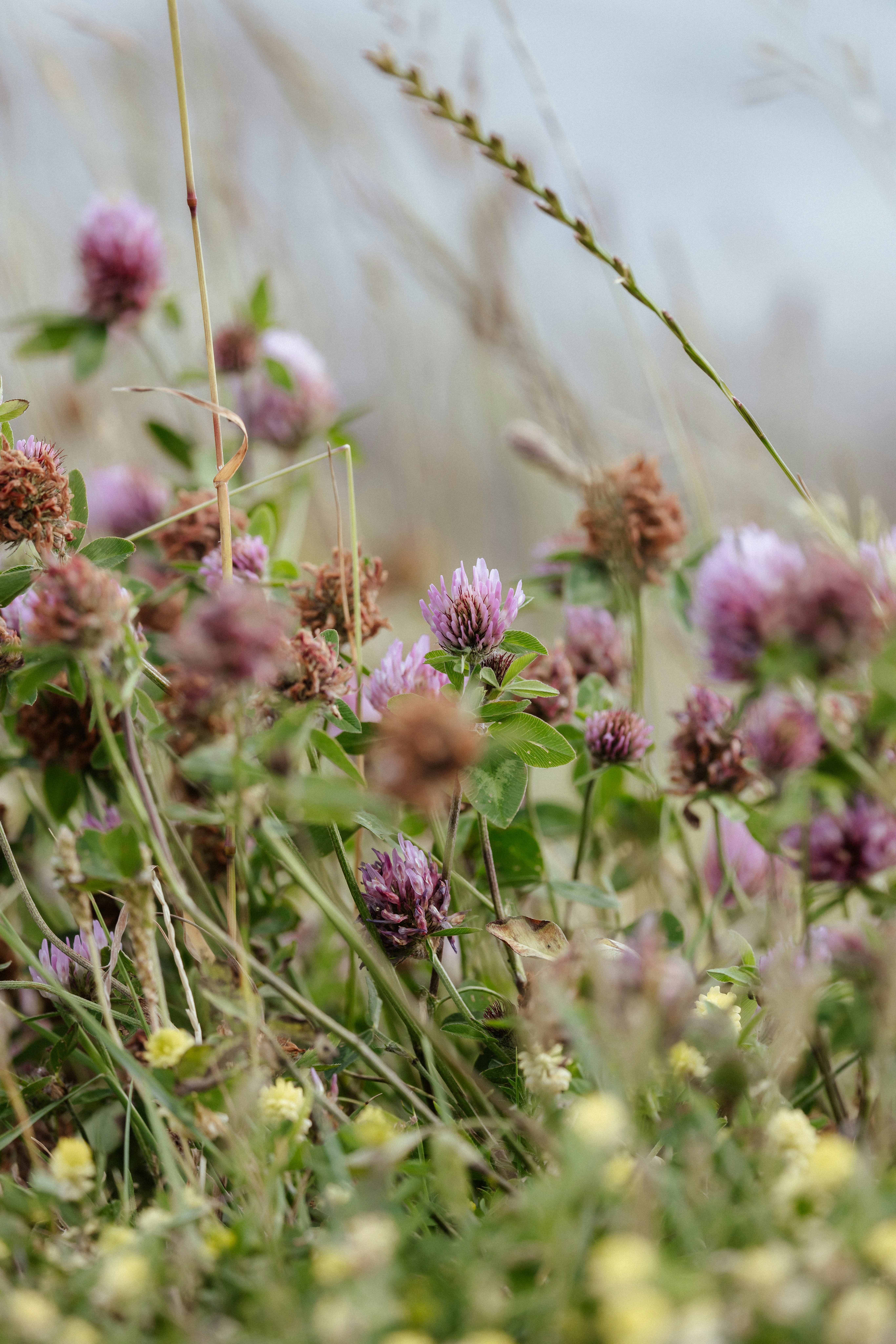 Photo by anniespratt