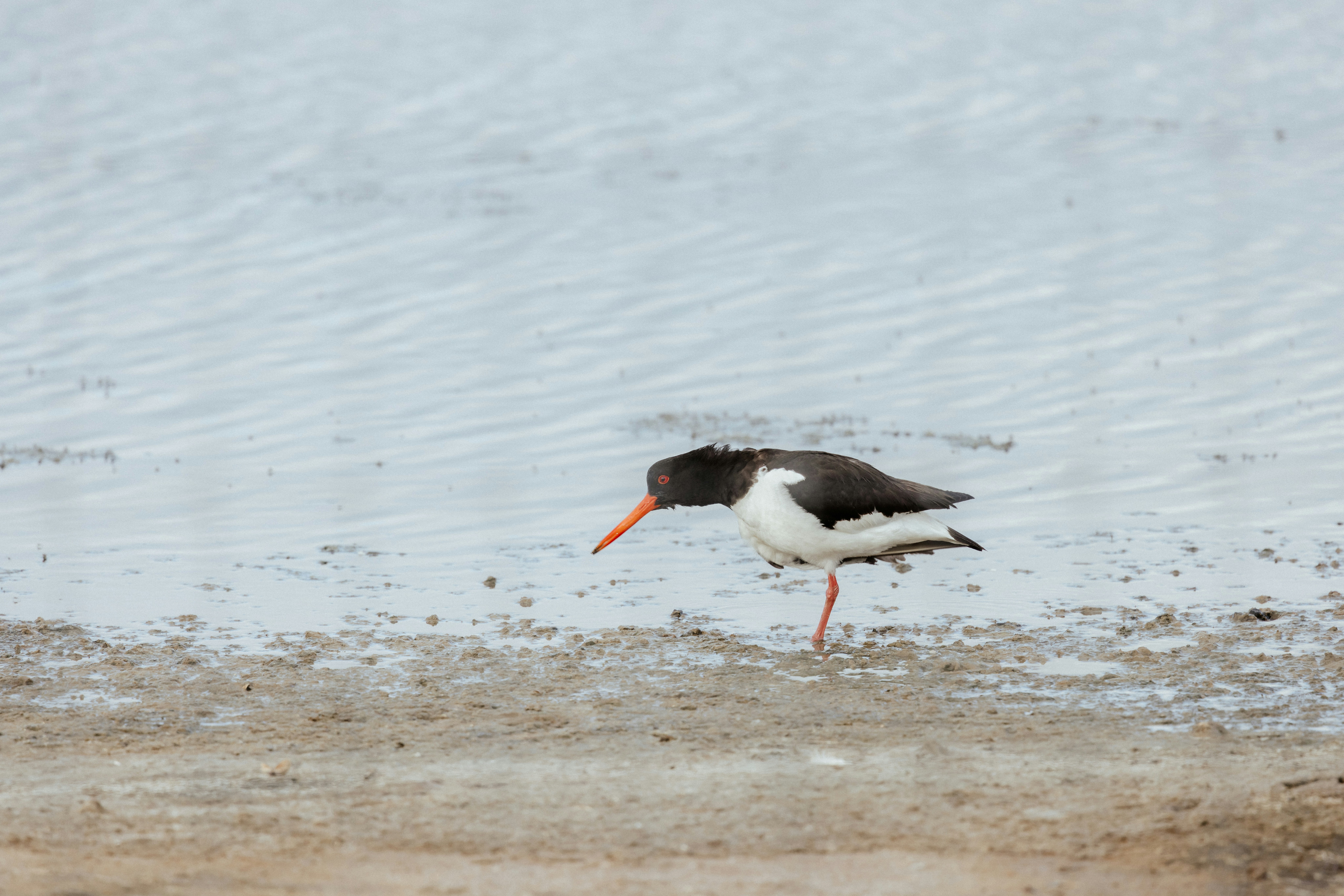 Photo by anniespratt