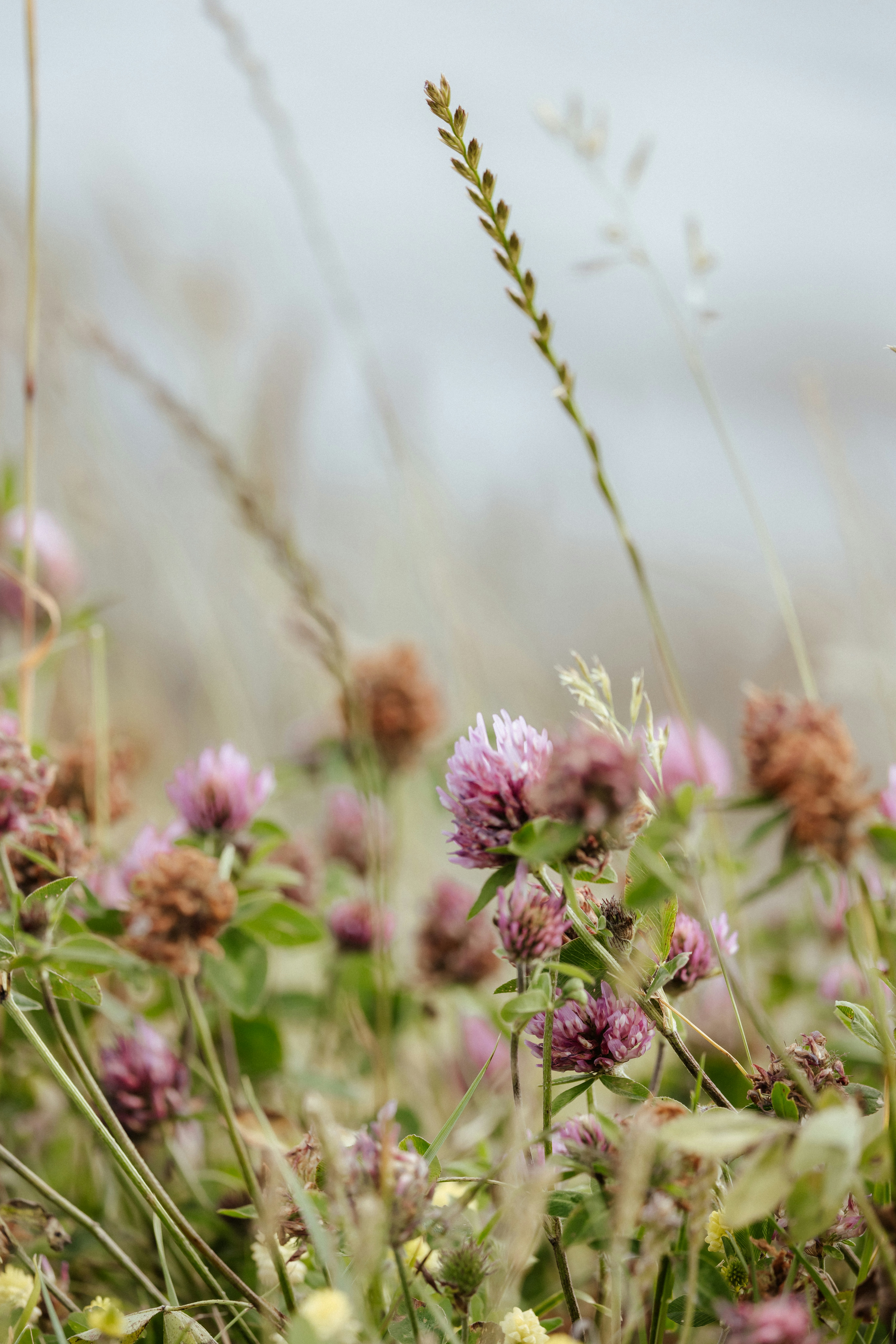 Photo by anniespratt