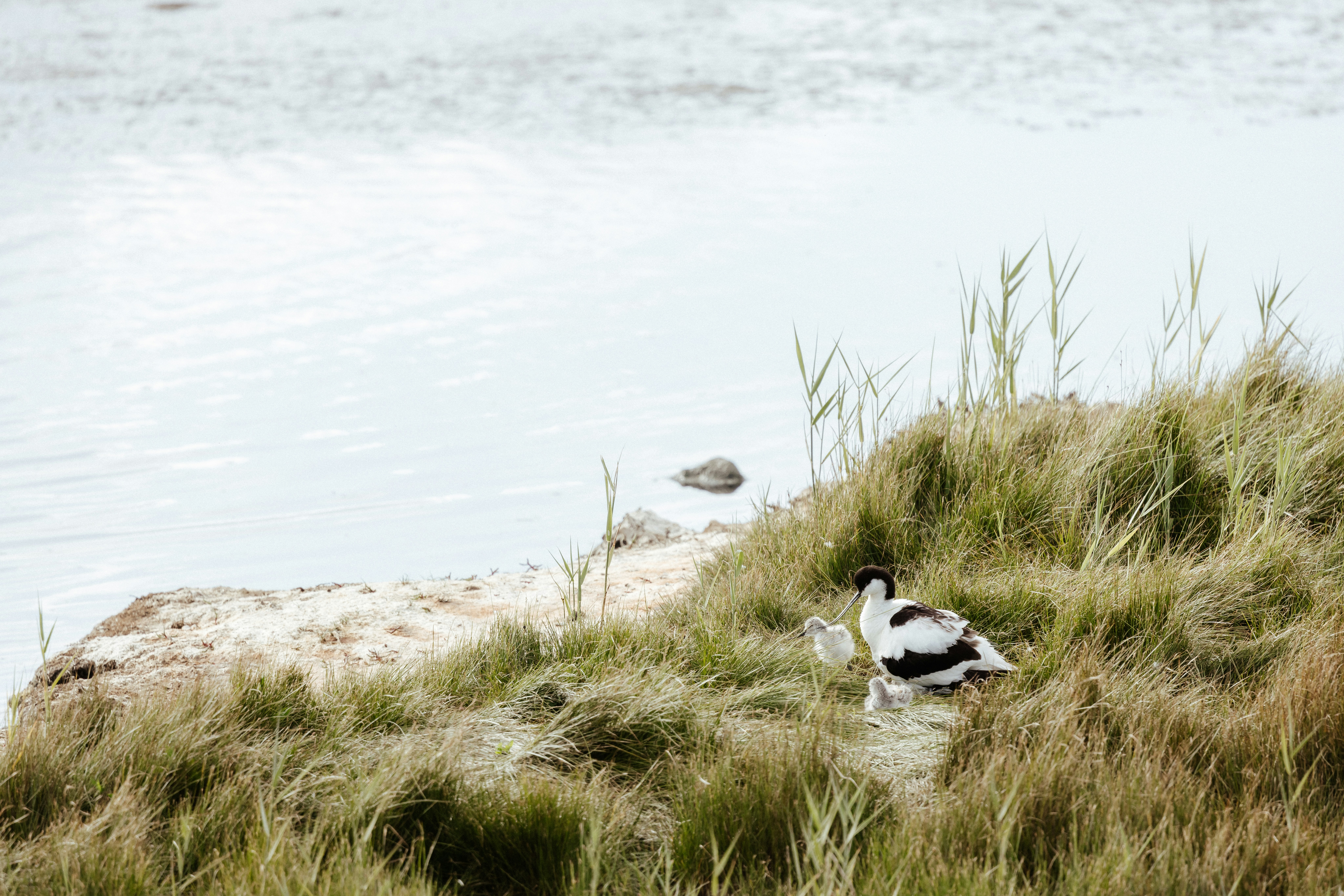 Photo by anniespratt