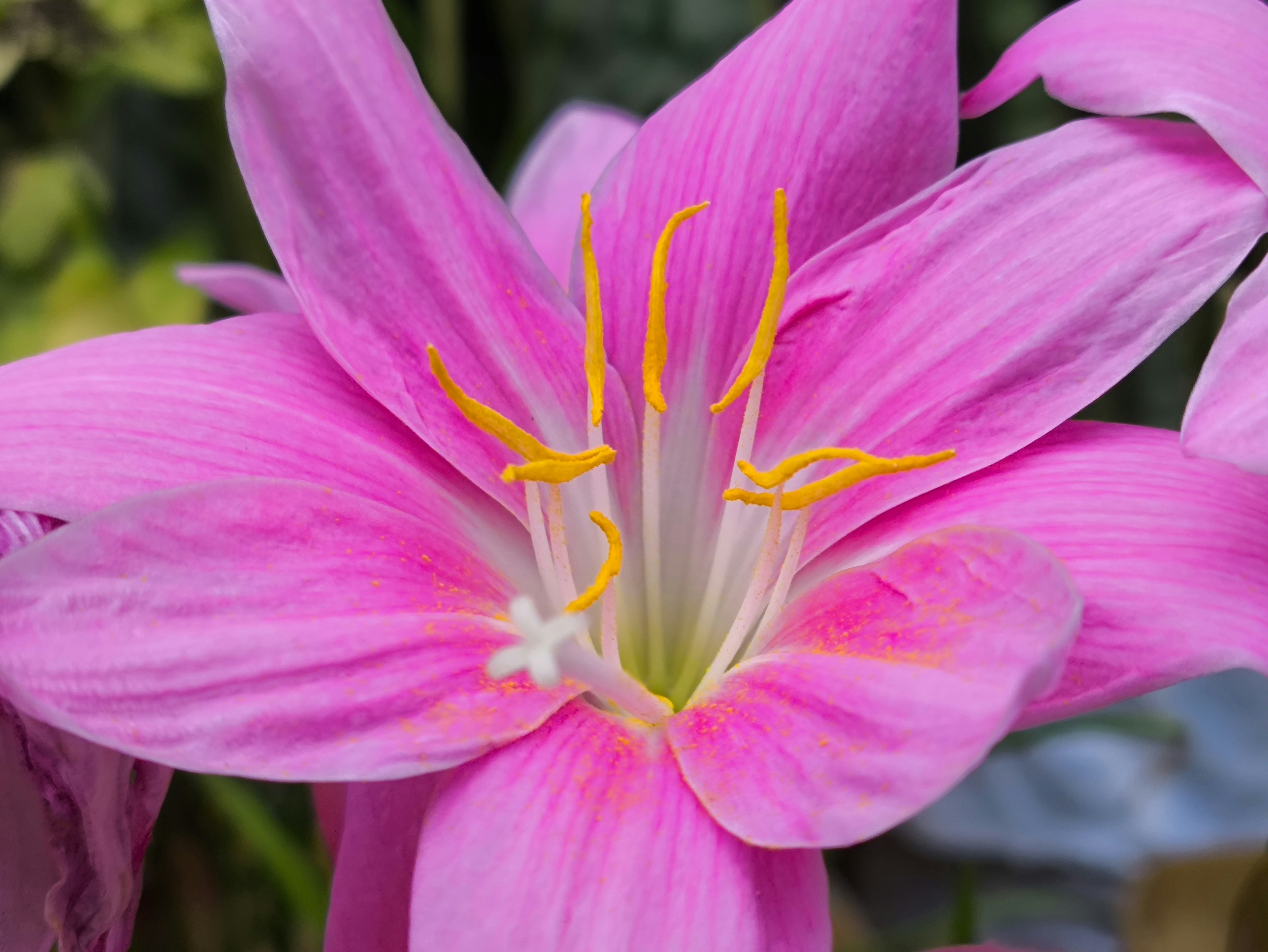 Photo by deeakthakur