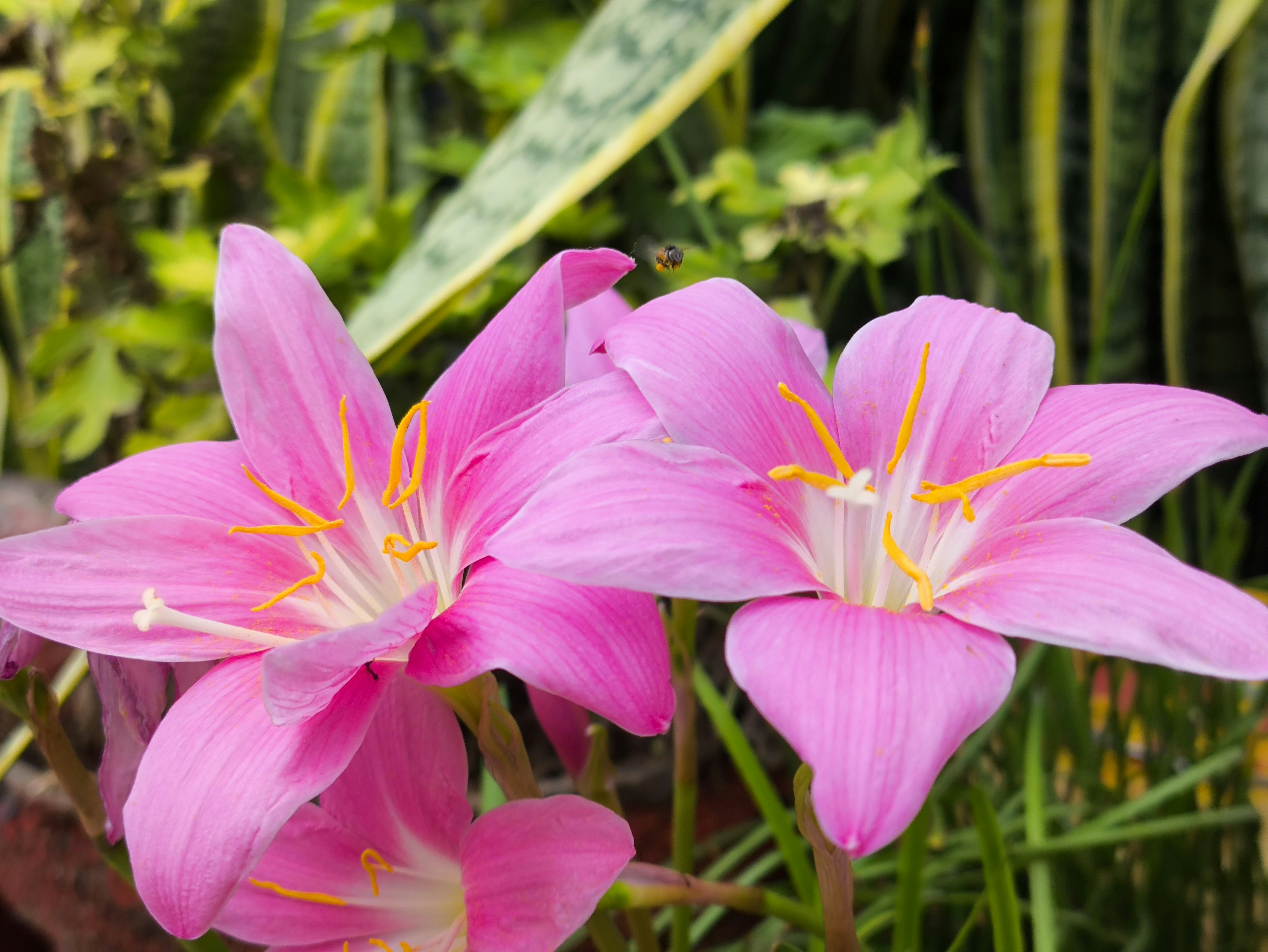 Photo by deeakthakur