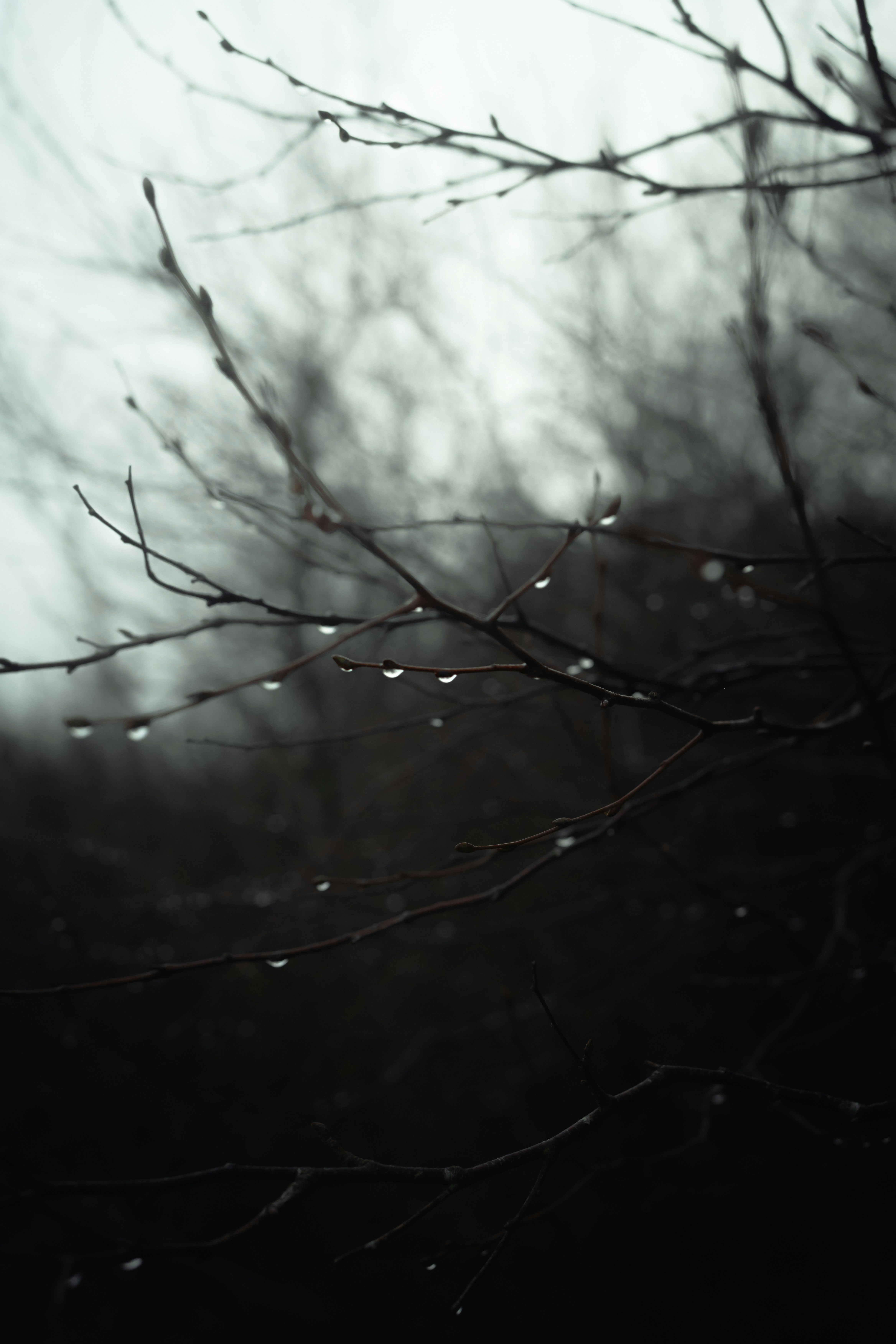 Photo by alexisnthere_