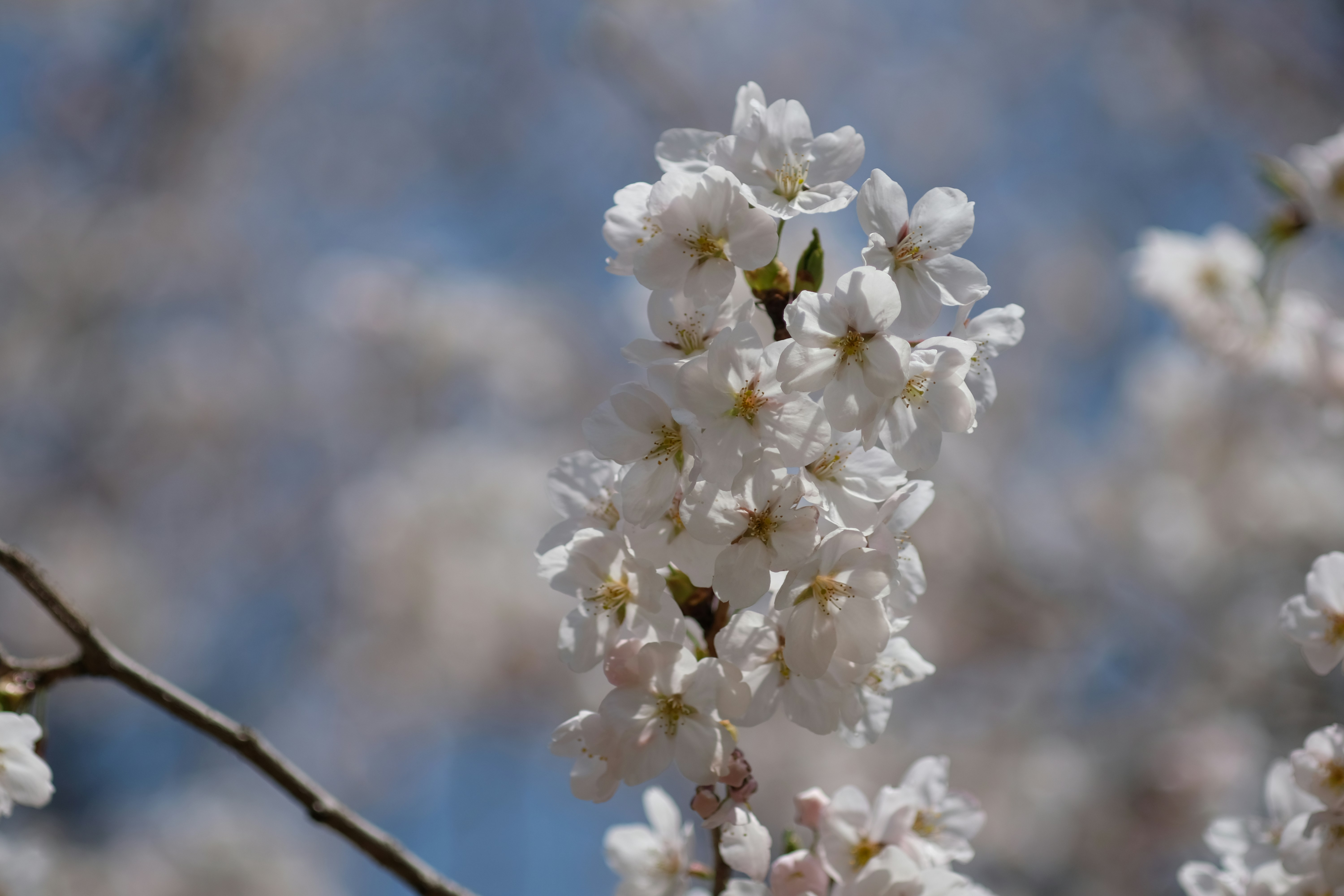 Photo by hanyiseul