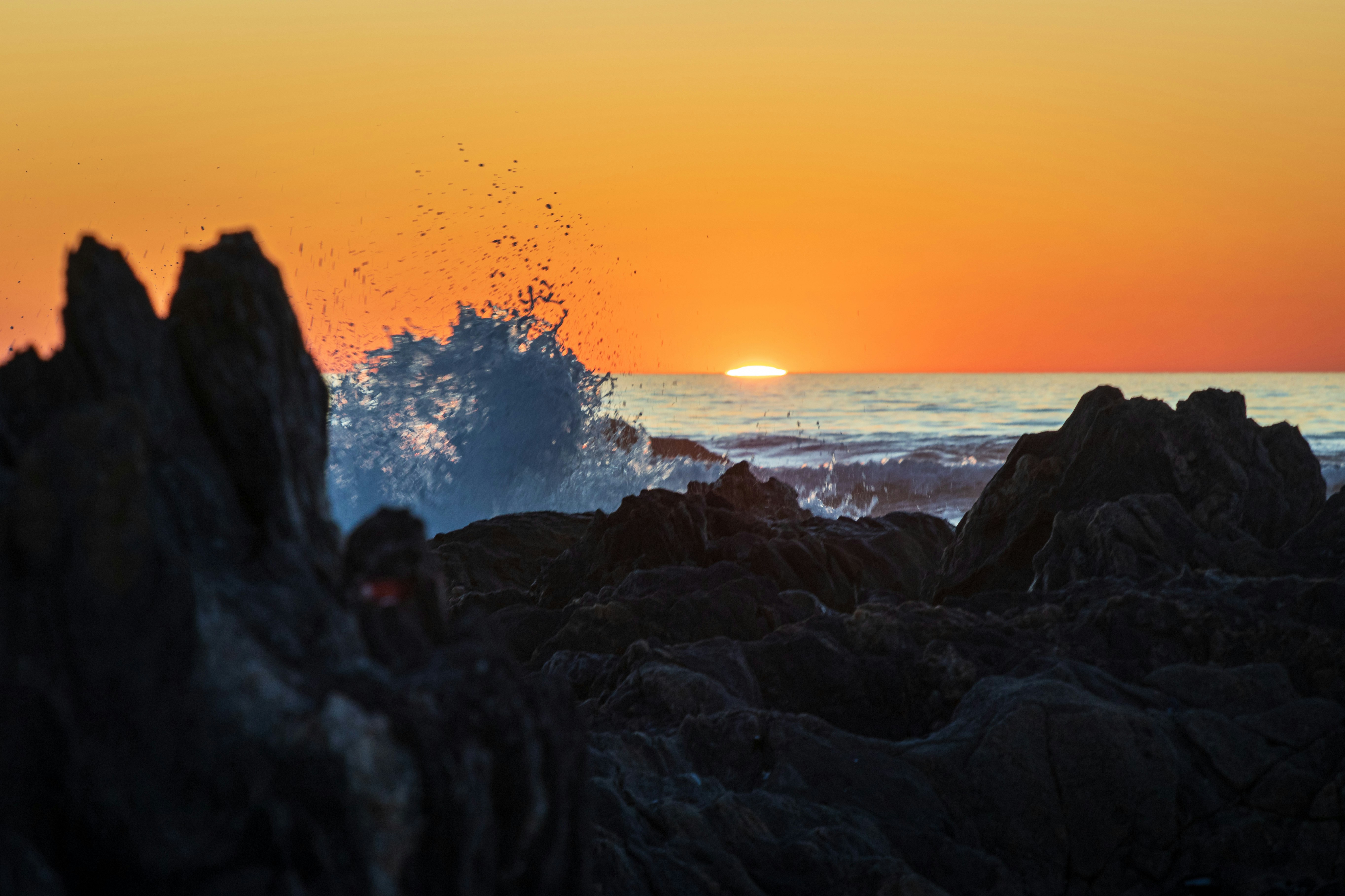 Photo by grant_durr