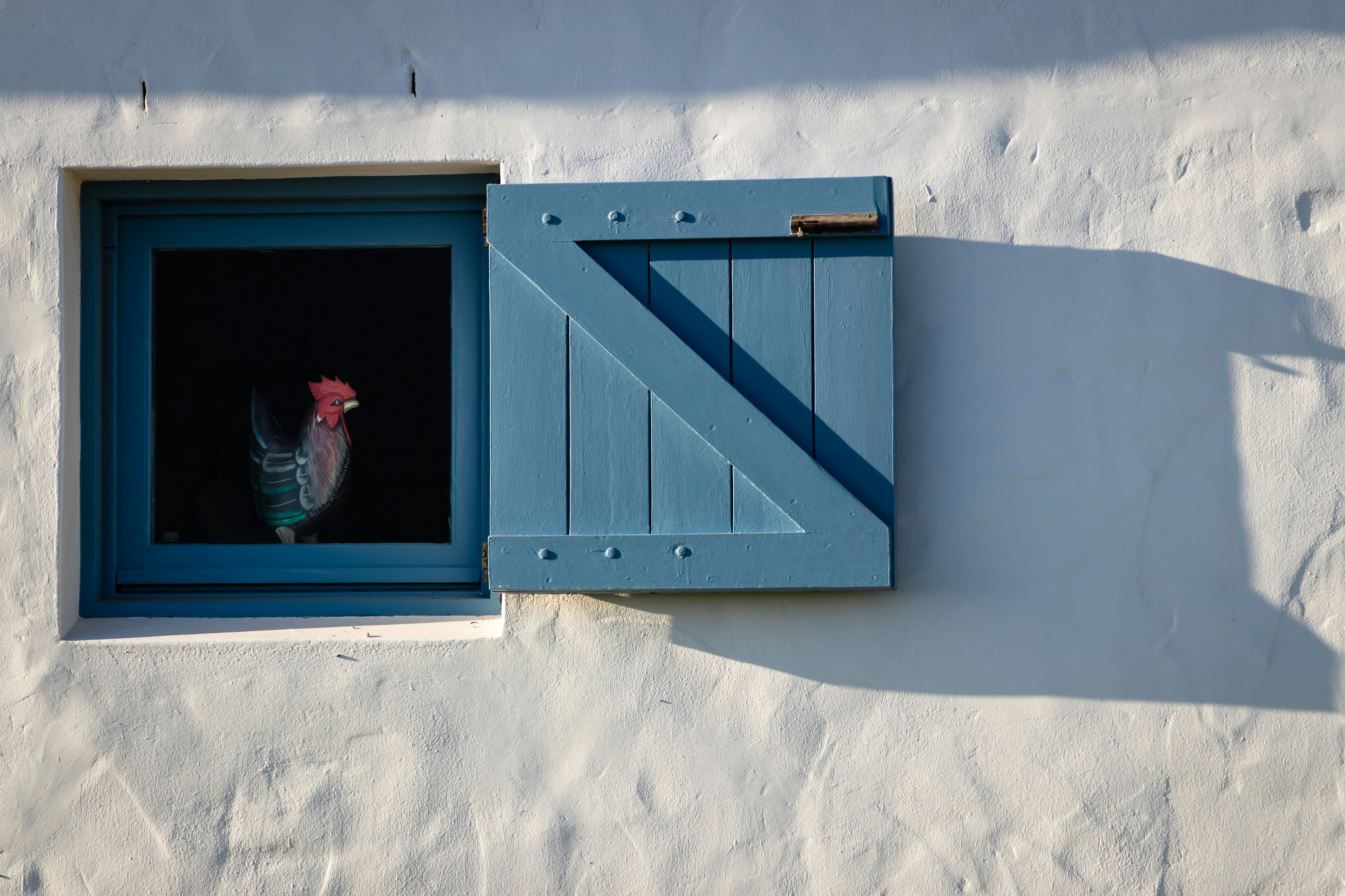 A bird is sitting in a window of a house