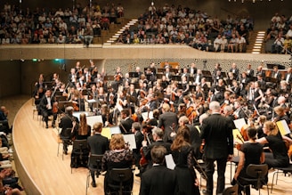 A conductor and orchestra performing in a concert hall