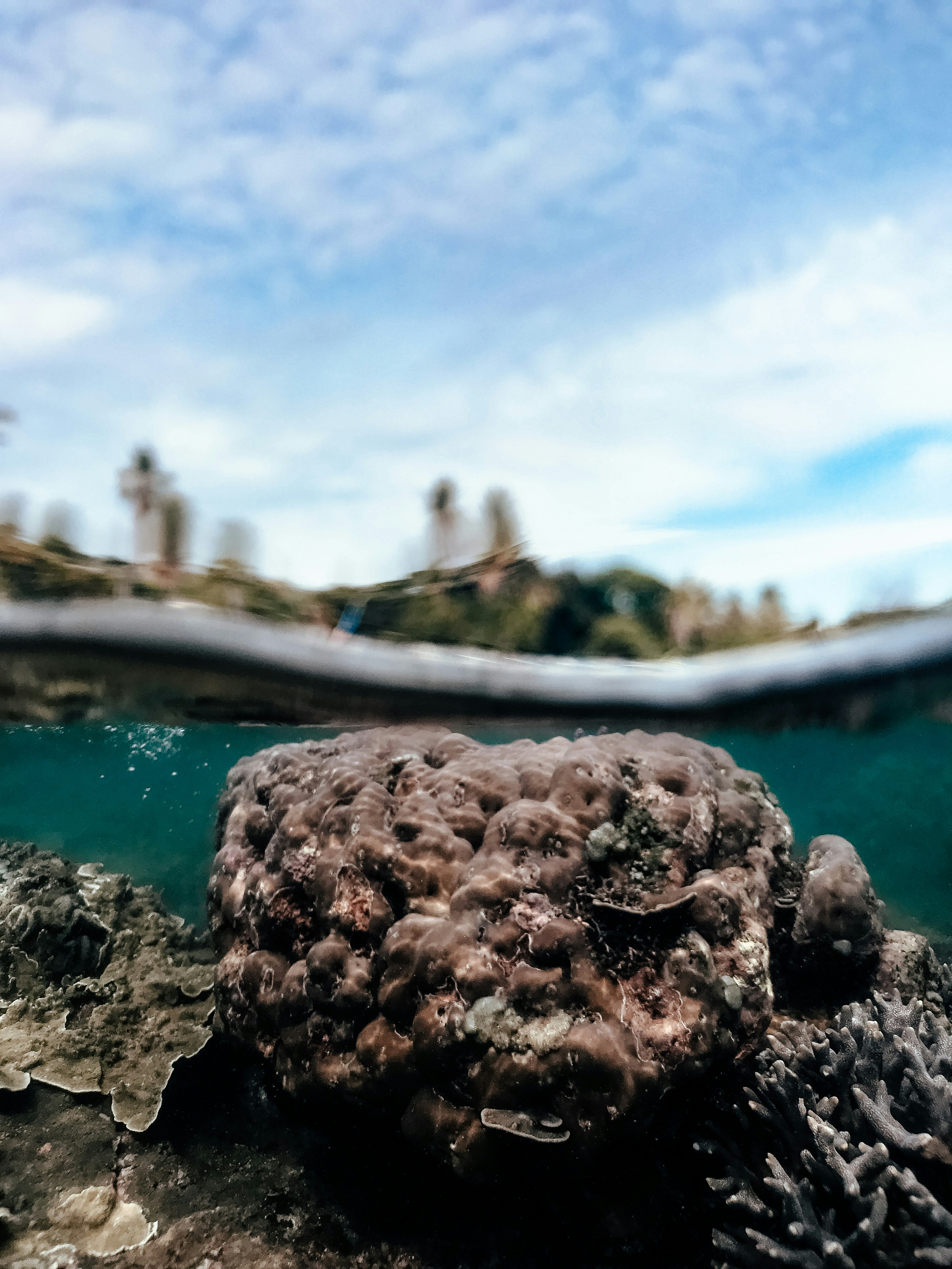 An underwater view of a coral reef with a boat in the background