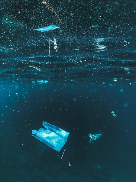 A plastic bag floating on top of a body of water