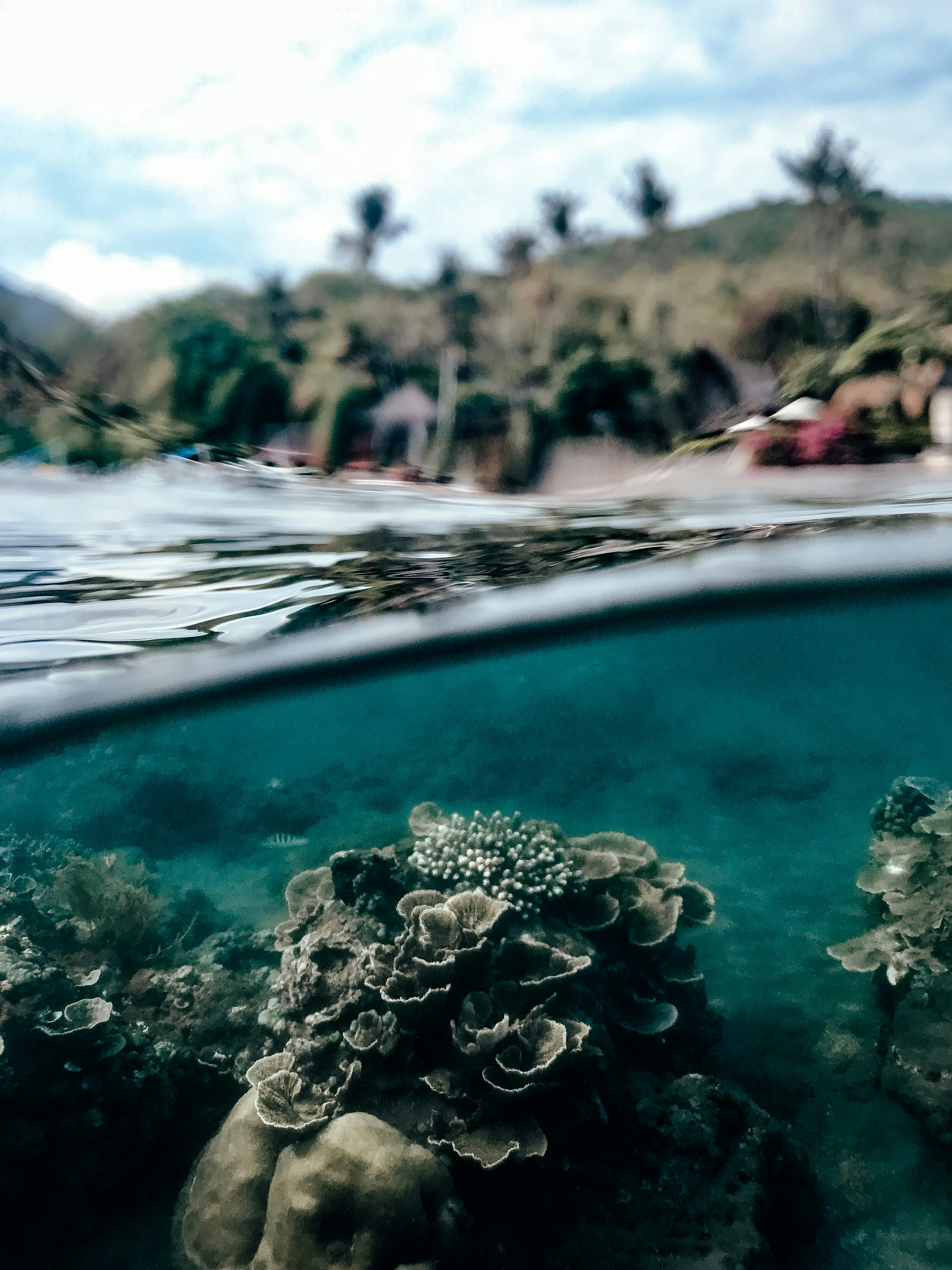 An underwater view of a coral reef with a house in the background