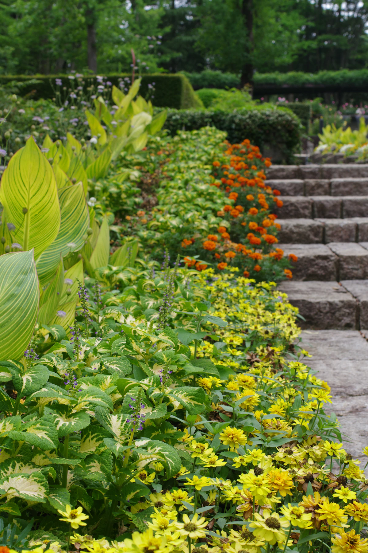 Colorful foundation beds and layered annuals beside rough stone garden stairs