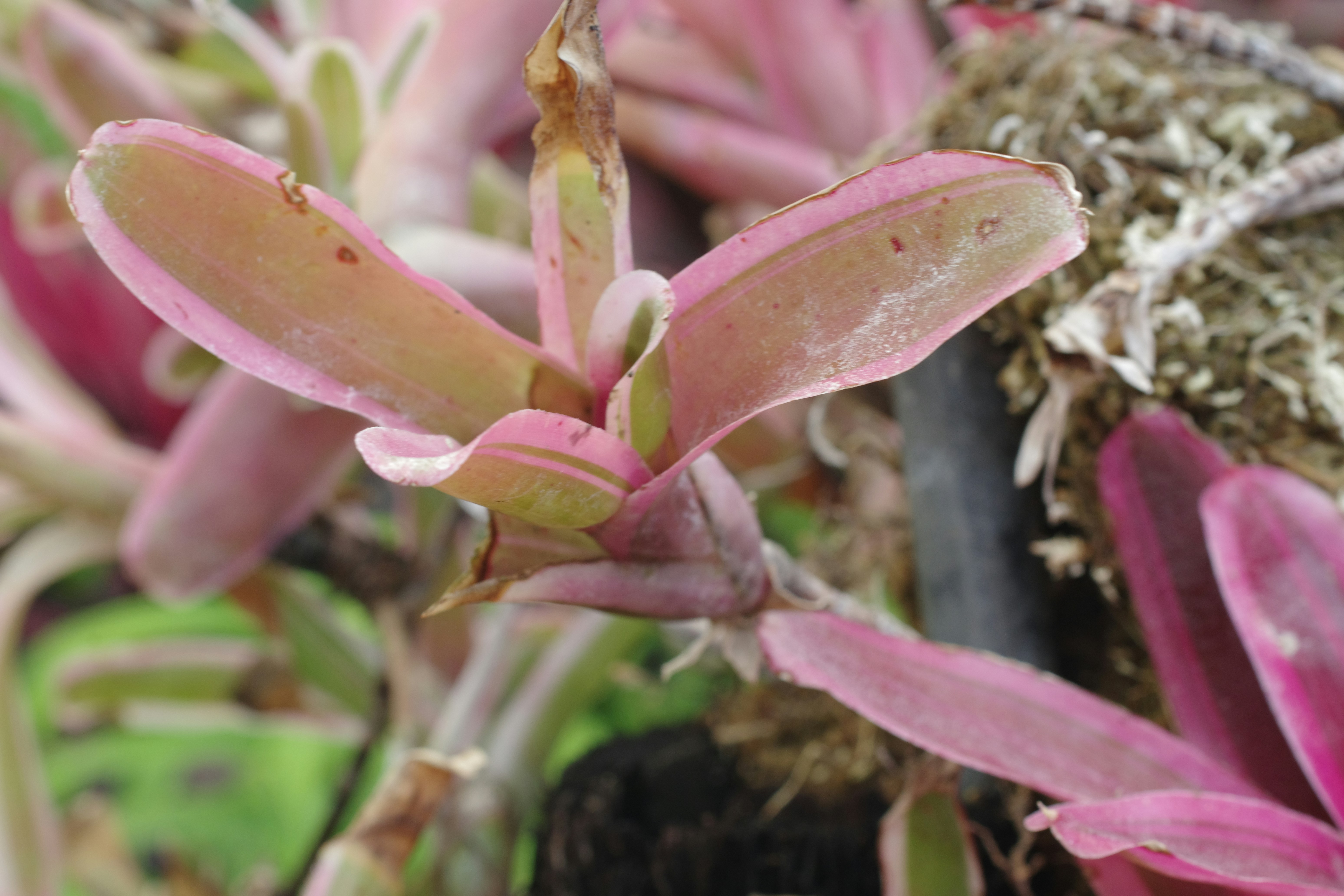 震驚！99%的人都做錯的家居收納法，難怪你家永遠亂！