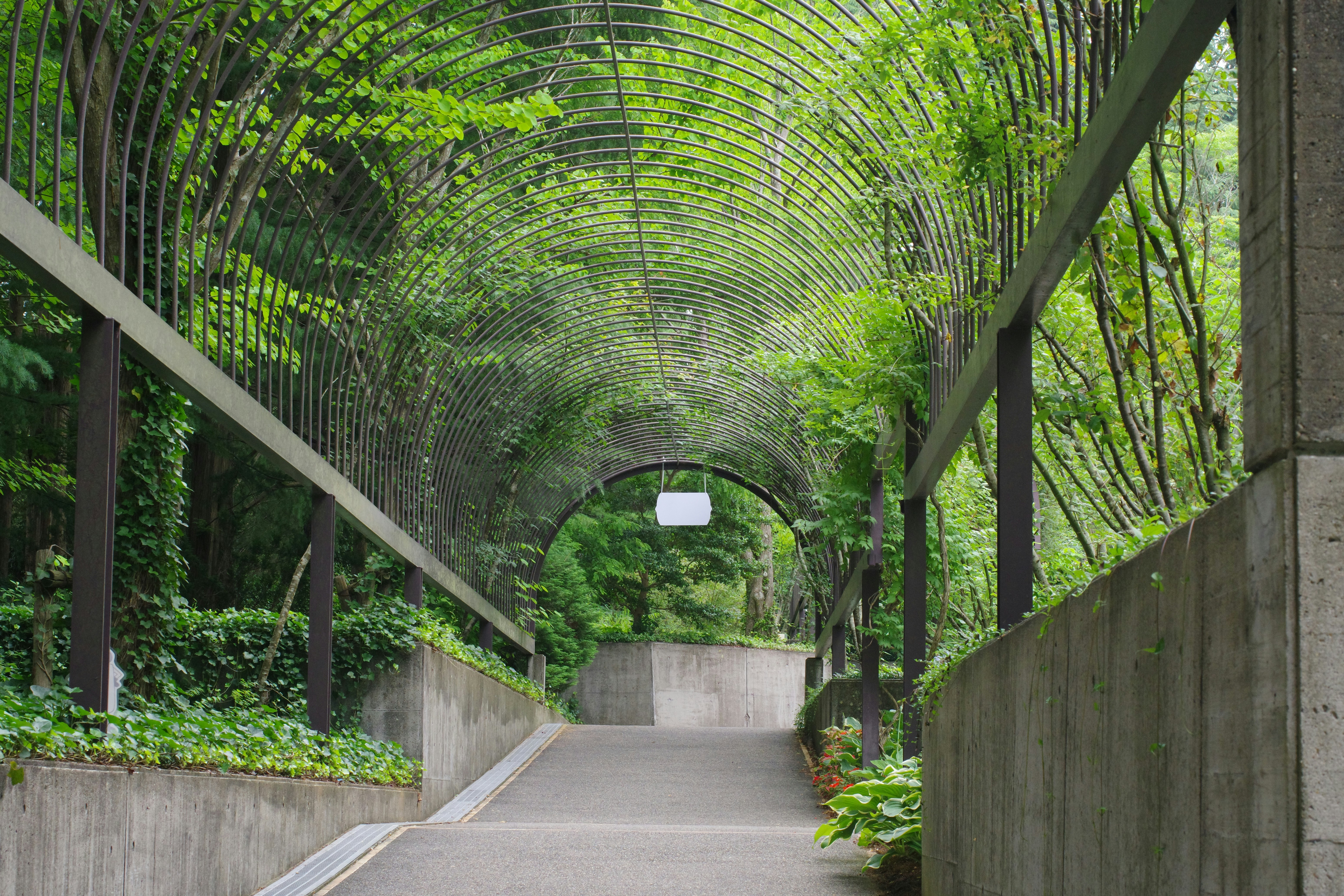 😱震驚！你家竟比鬼屋還髒？99%的人都忽略的清潔死角！